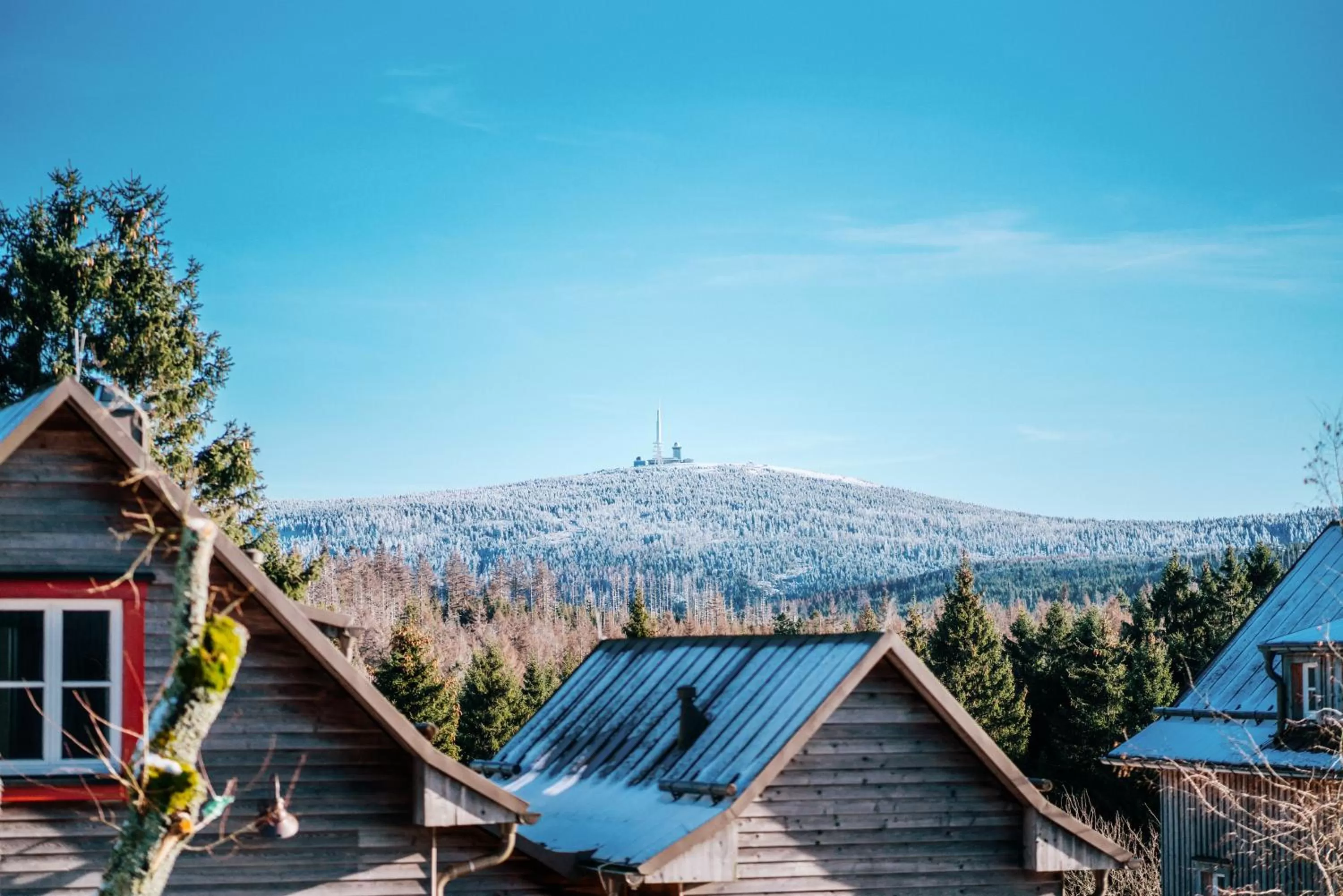 Day in Torfhaus Harzresort