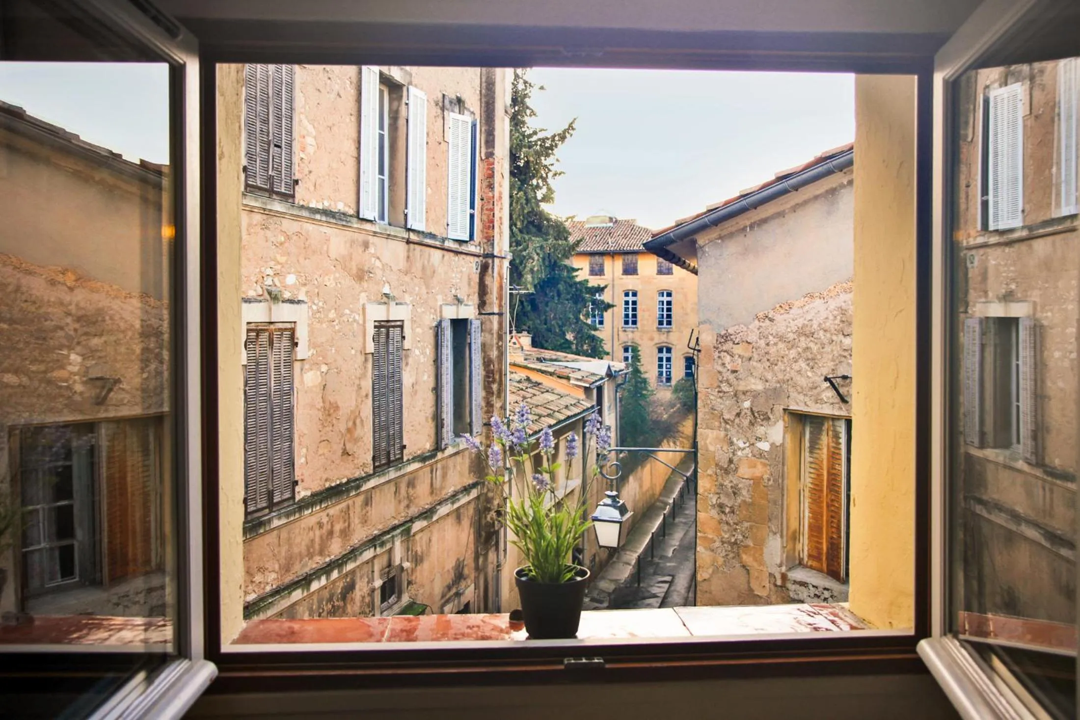 Garden in Precheurs Studios