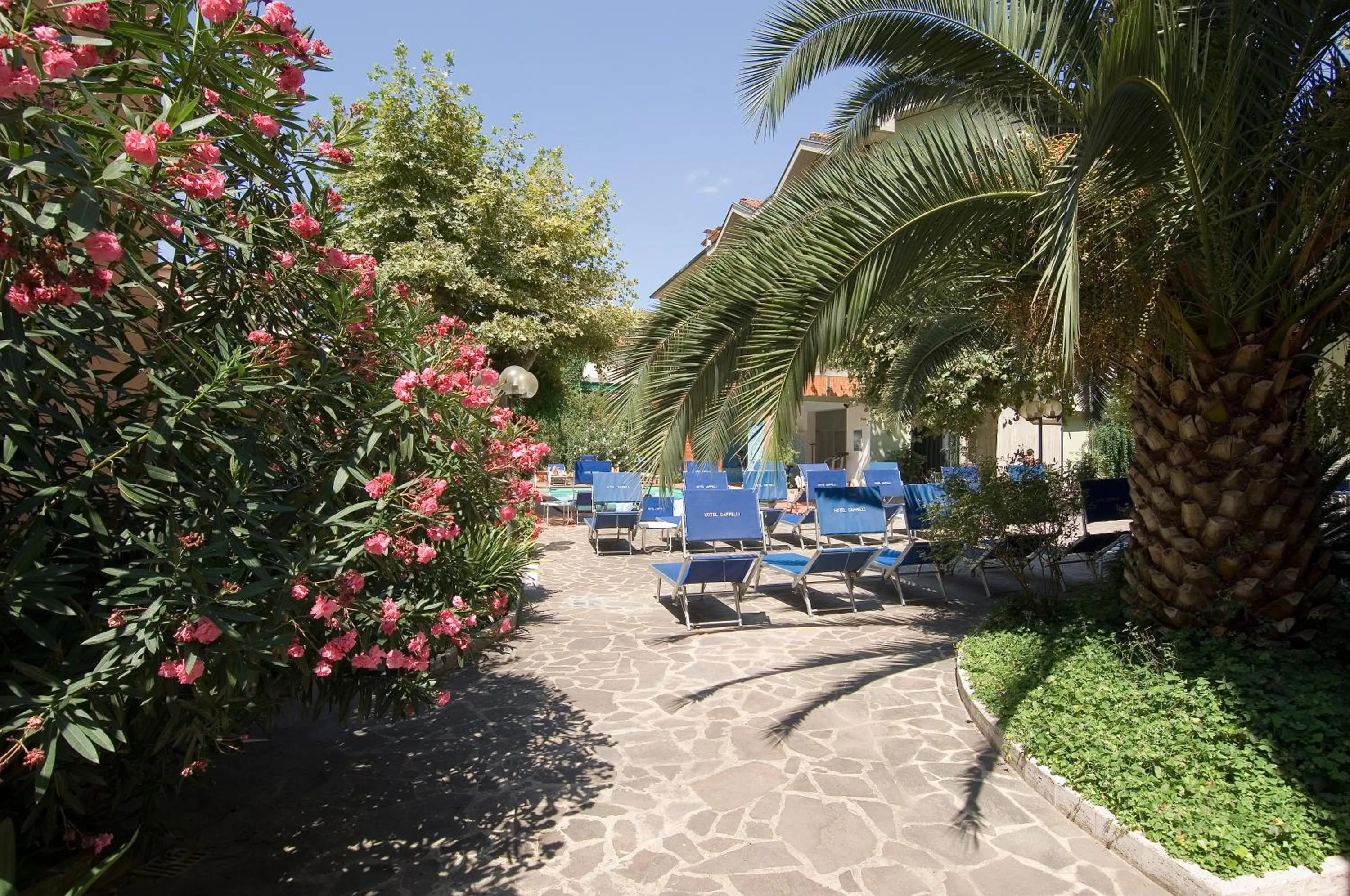 Garden in HG Hotel Cappelli