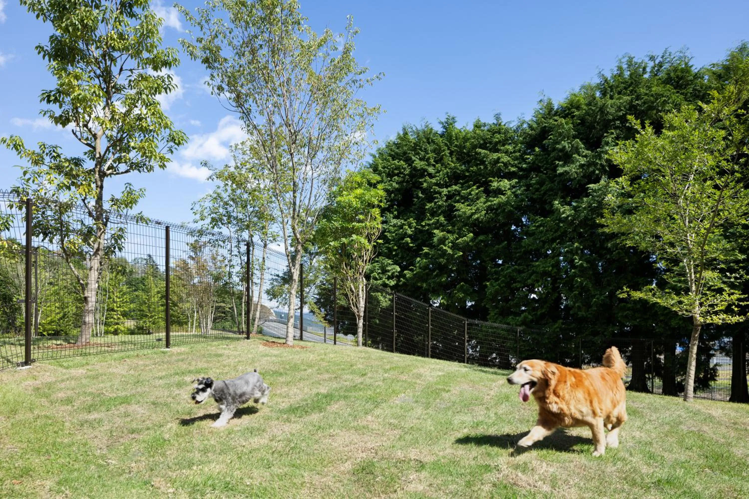 Animals in Fuji Speedway Hotel, in The Unbound Collection by Hyatt
