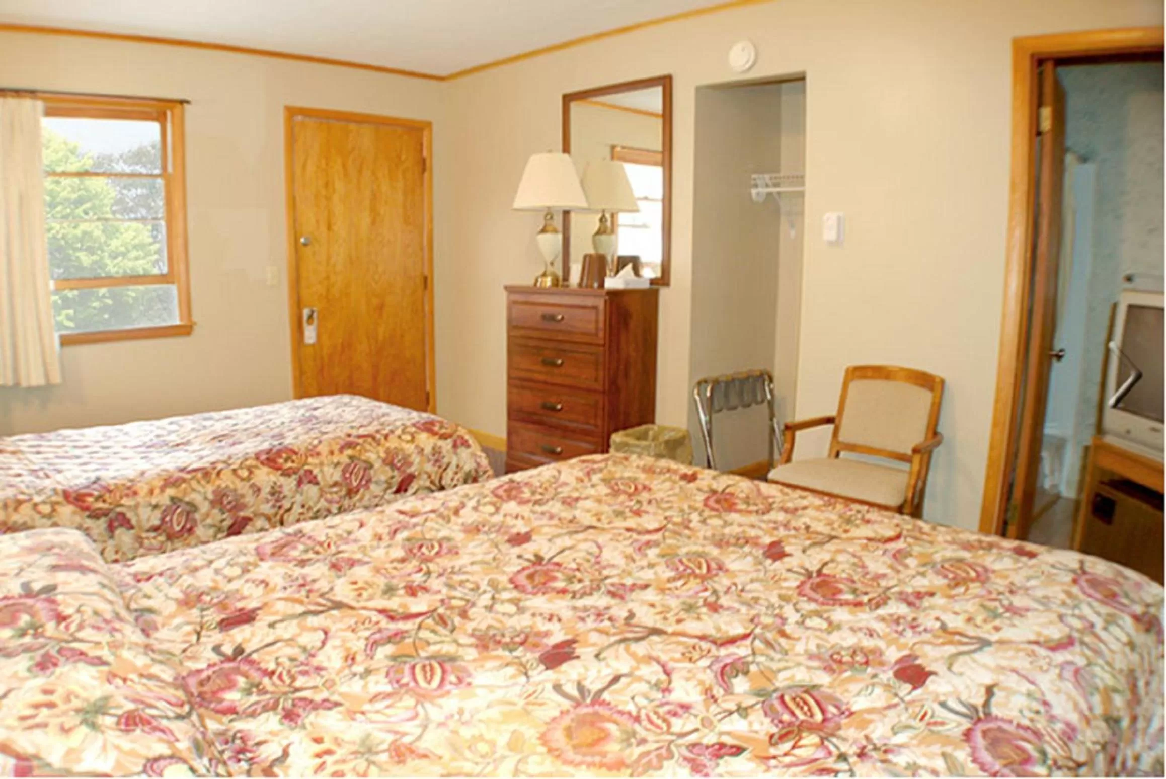 Day, Bed in Fran Cove Motel