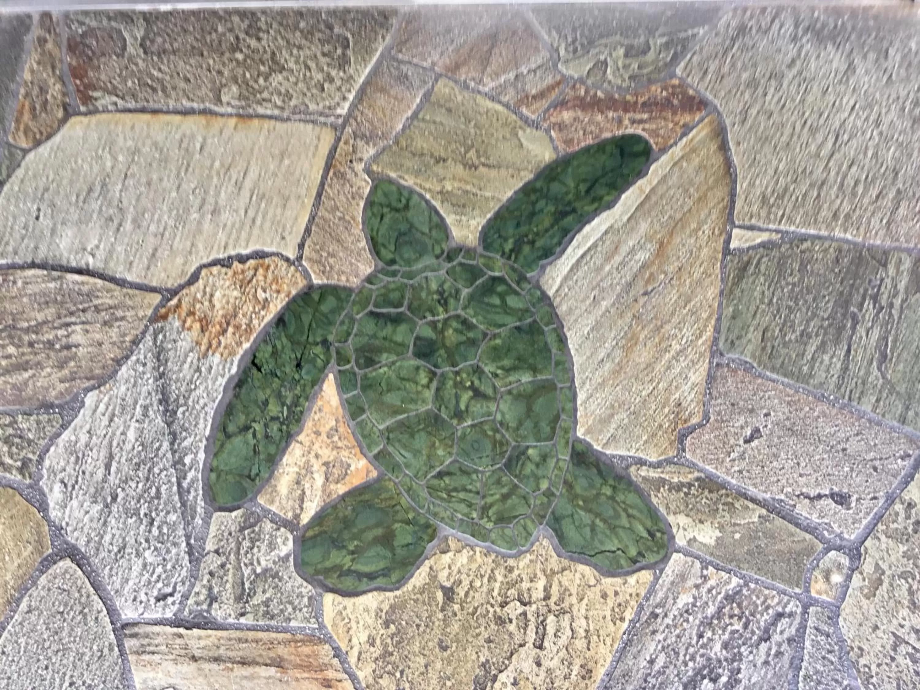 Facade/entrance in Holiday Surf Hotel (with full kitchen)