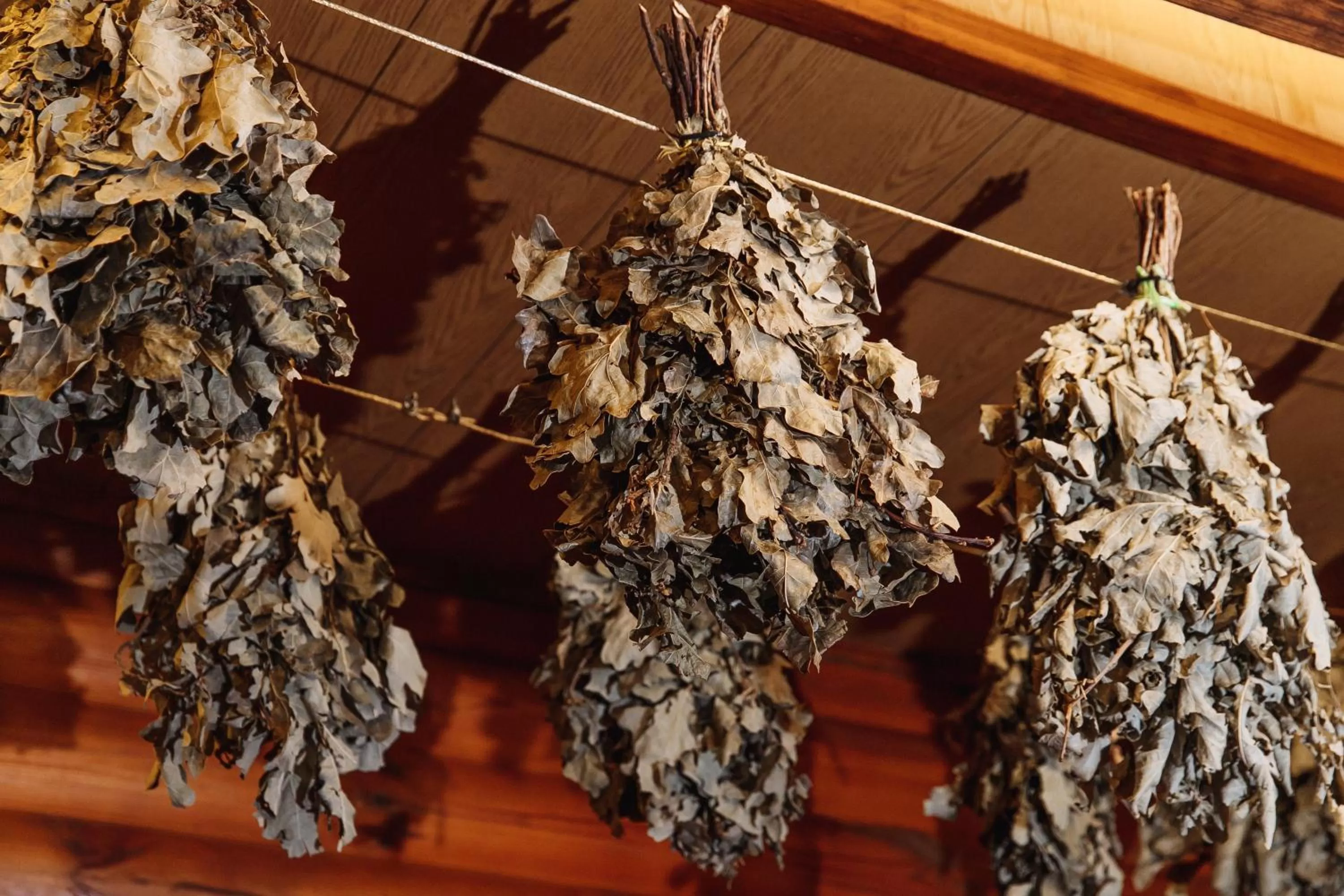 Sauna in Viktoriya Family Hotel Restaurant complex