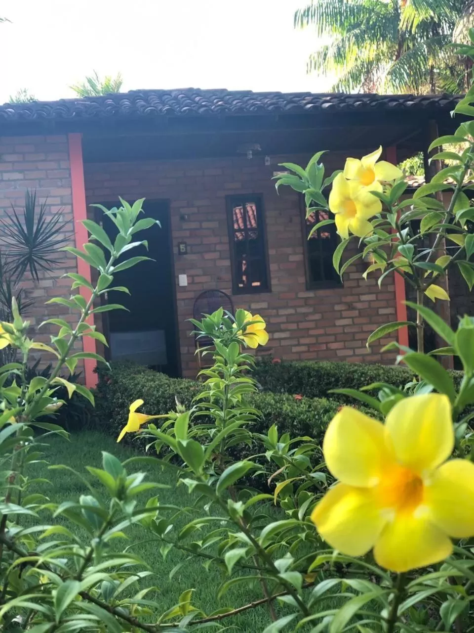 View (from property/room) in Pousada do Riacho