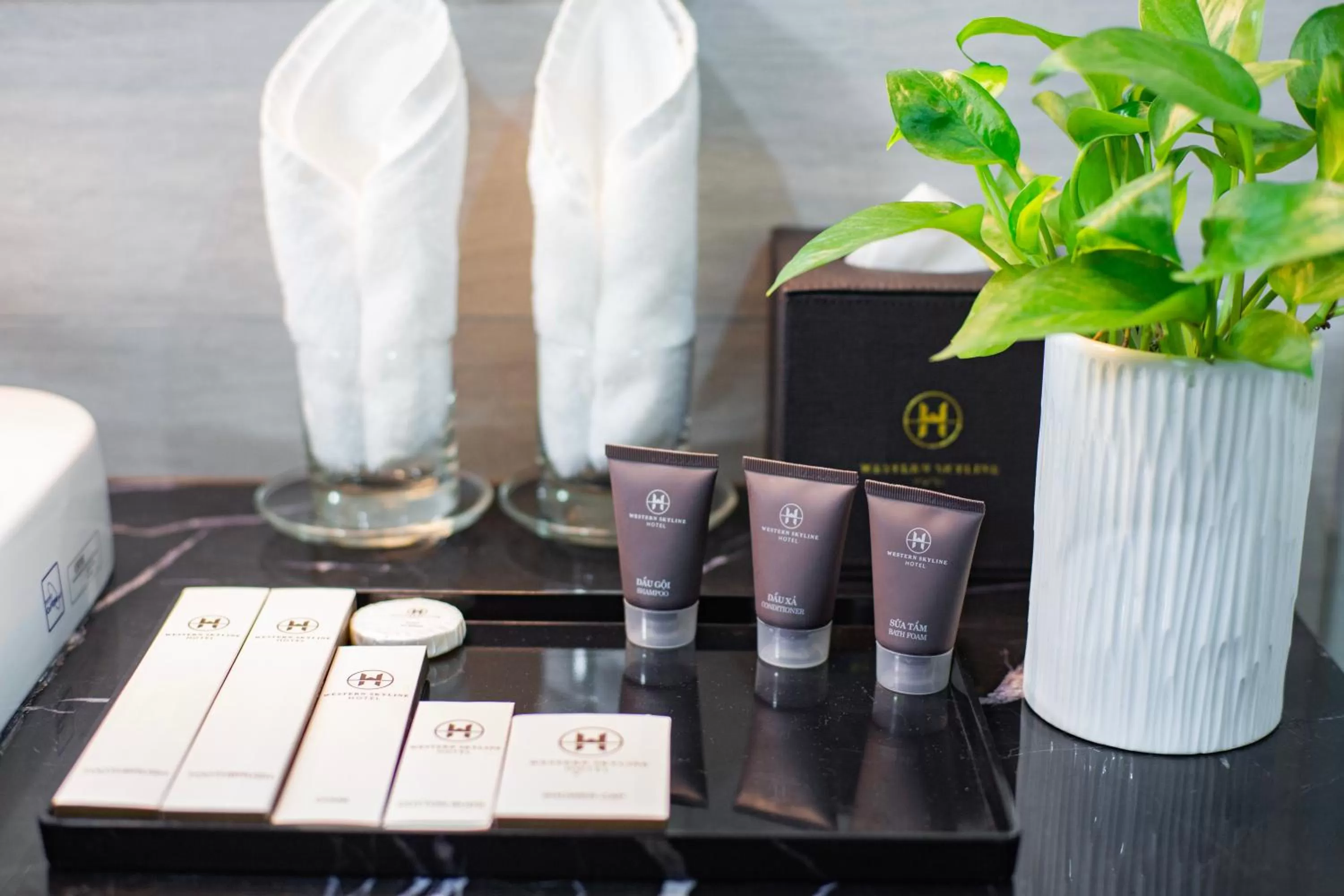 Shower in Western Skyline Hotel