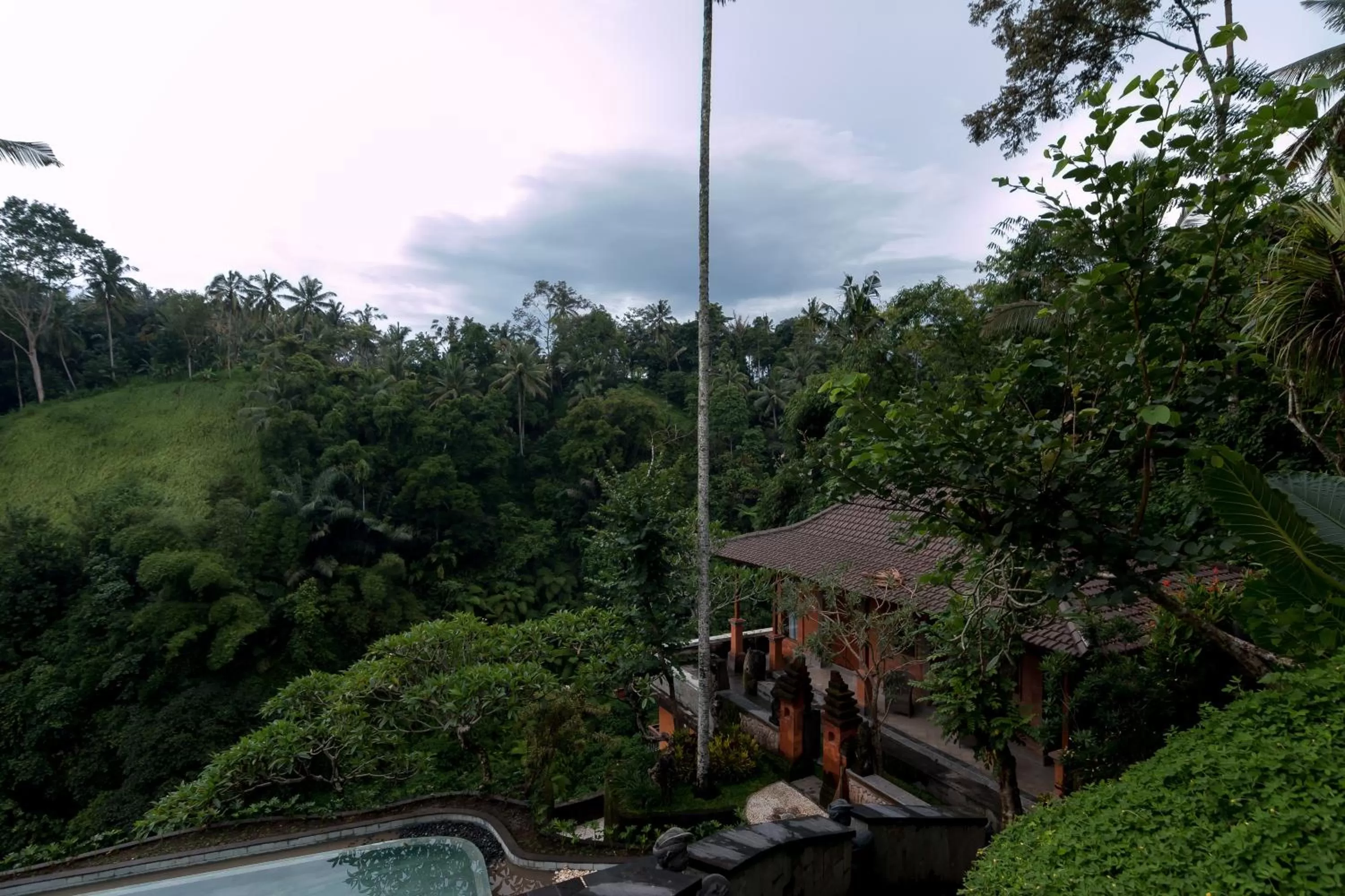 Pool view in Ulun Ubud Resort - CHSE Certified