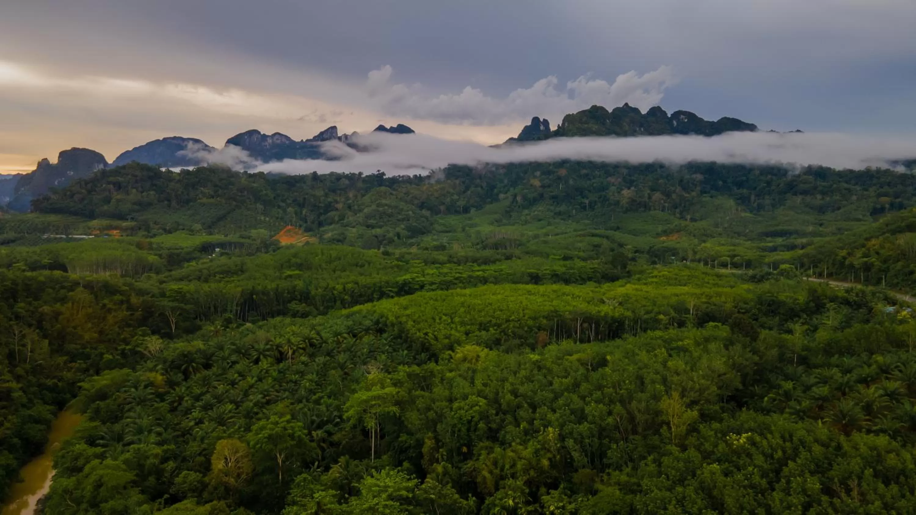 View (from property/room) in Khao Sok River Home Resort