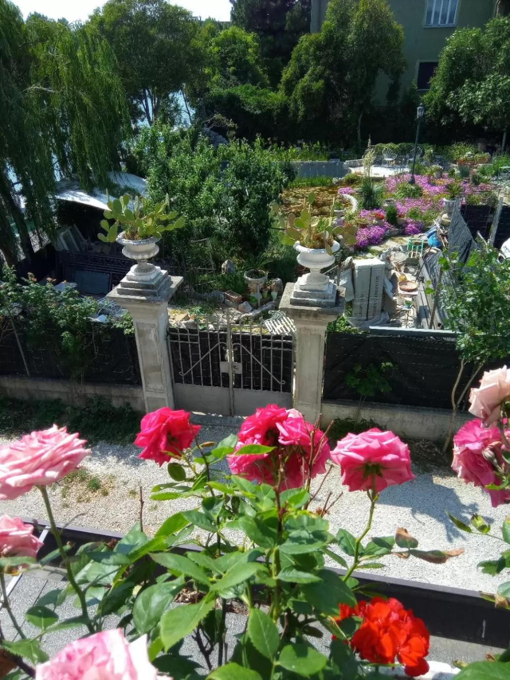 Garden view in Villa Fiorita