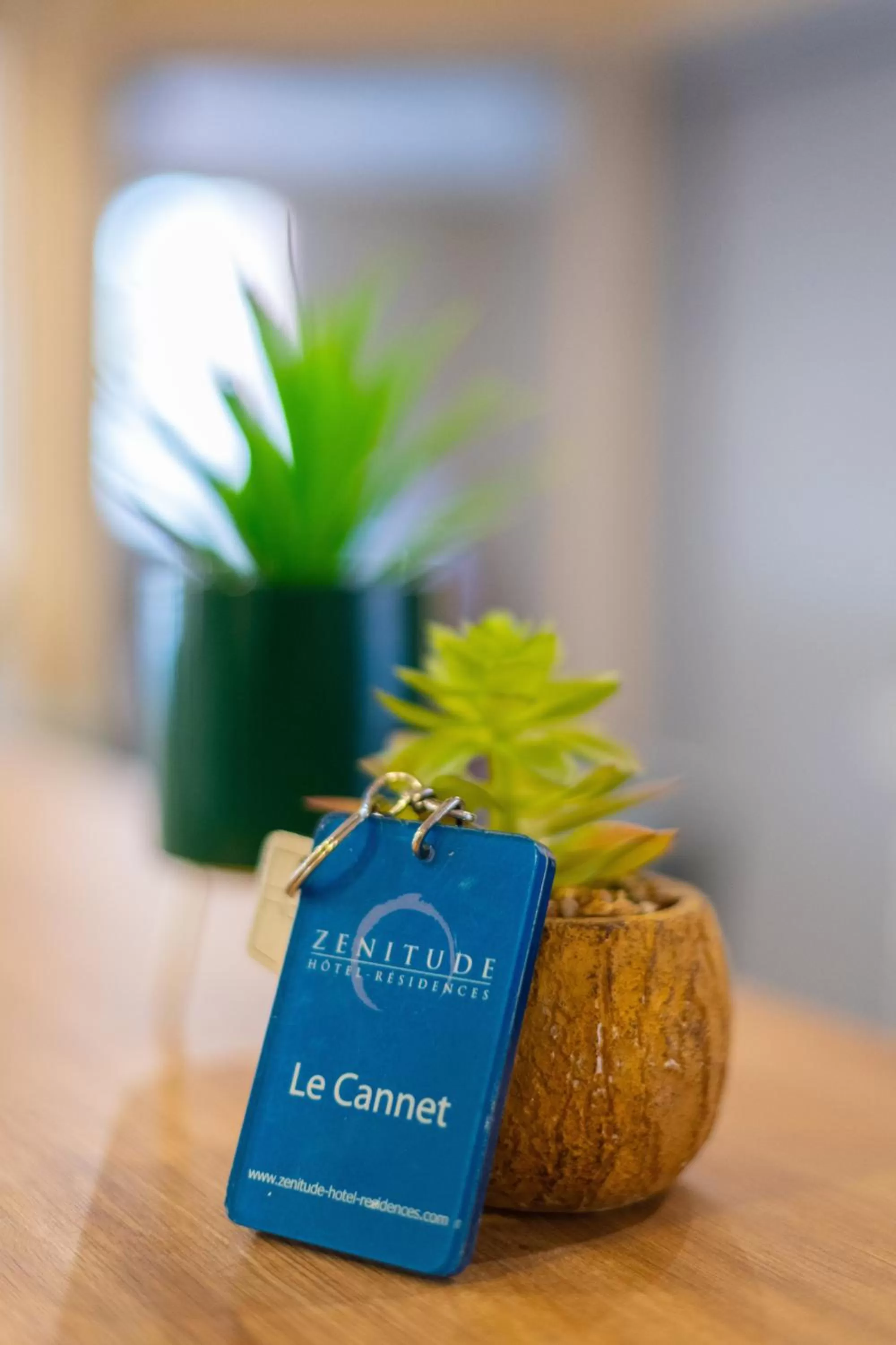 Lobby or reception in Zenitude Hôtel-Résidences Le Cannet