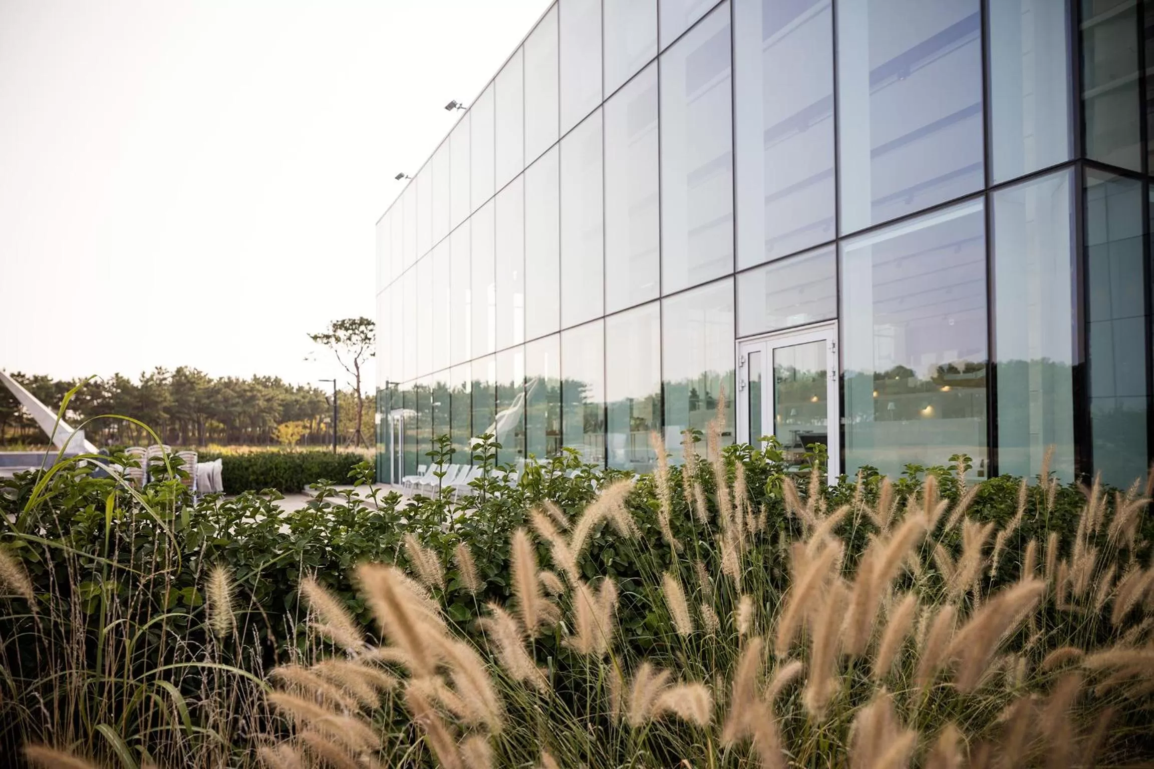 Activities in Nest Hotel Incheon