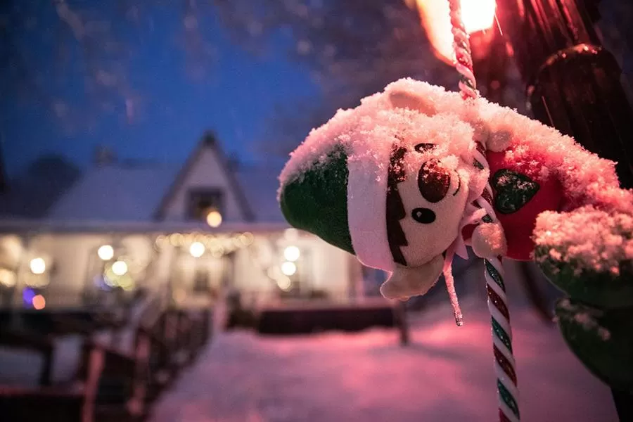 Auberge Sous les Arbres