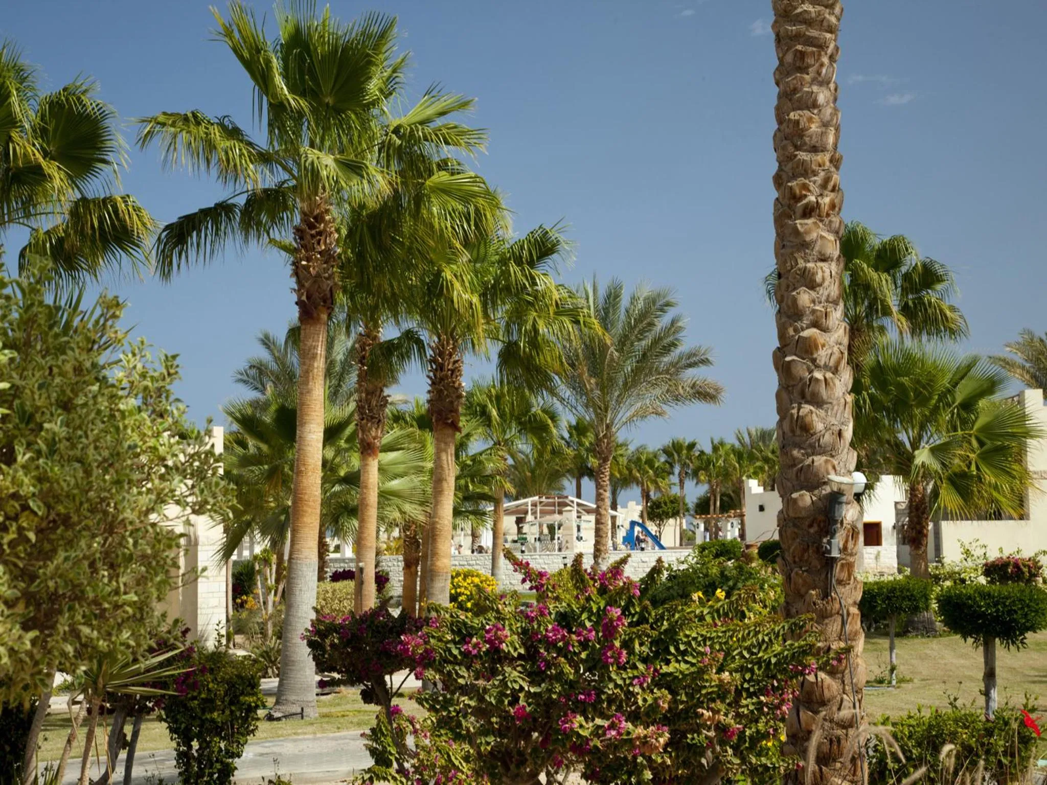 Garden in Hurghada Coral Beach Hotel