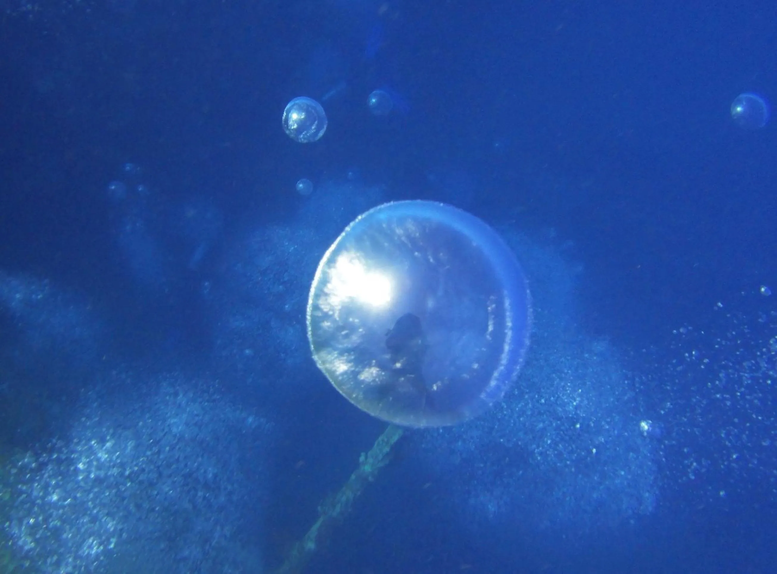 Diving in Red Sea Dive Center