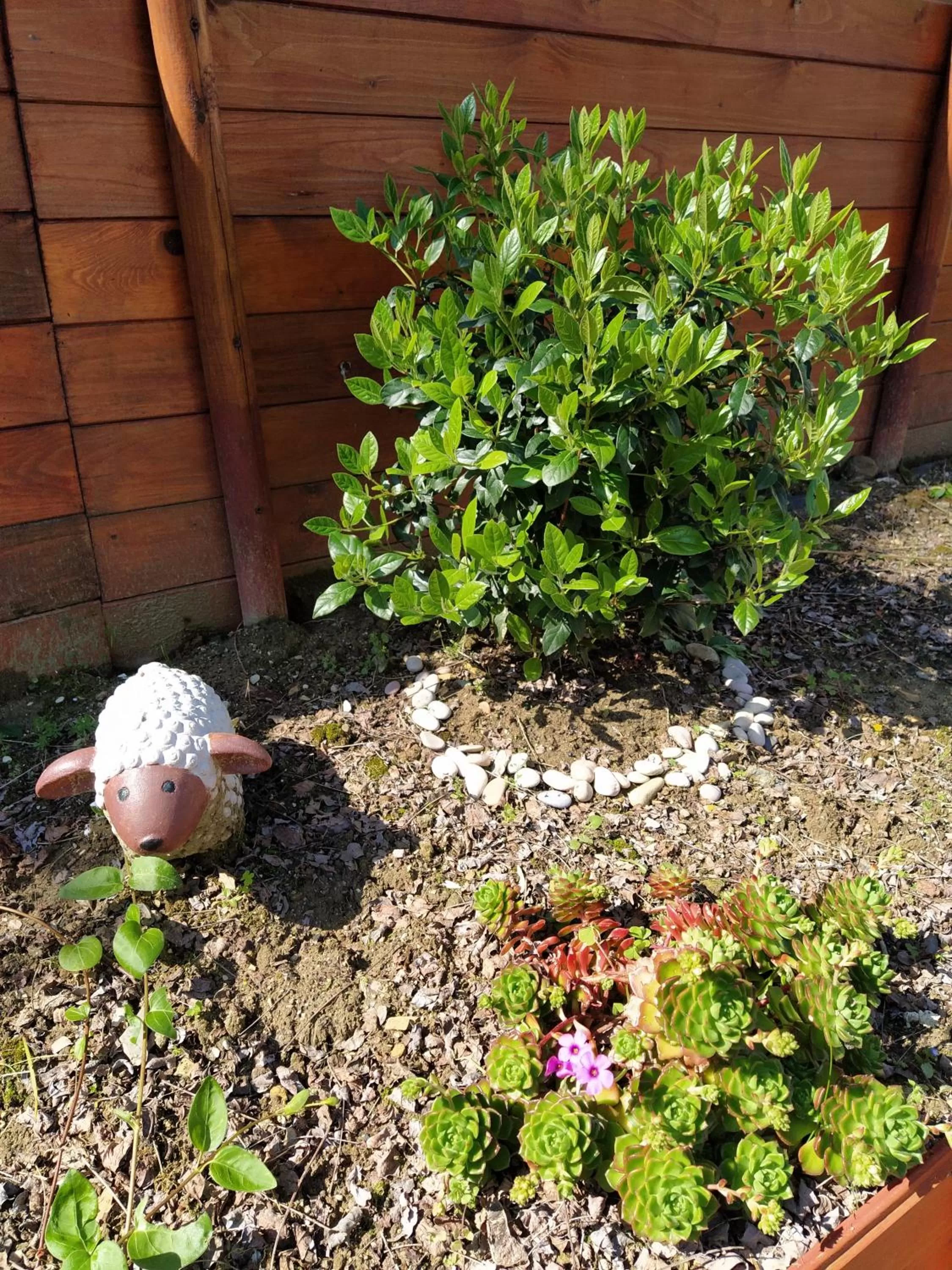 Garden in B&B Falcone