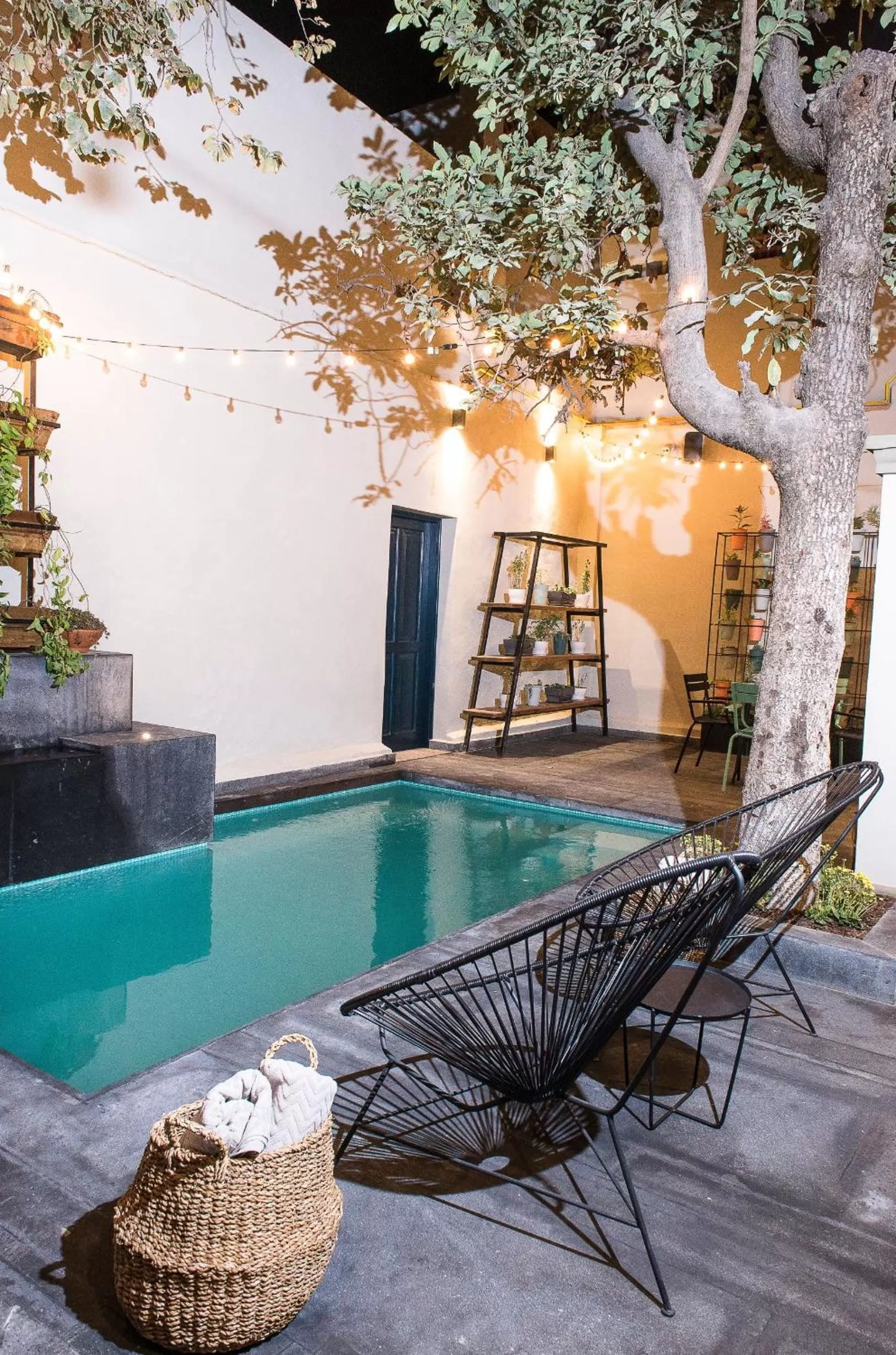 Natural landscape in Antigua Trece Hotel Fusión & SPA