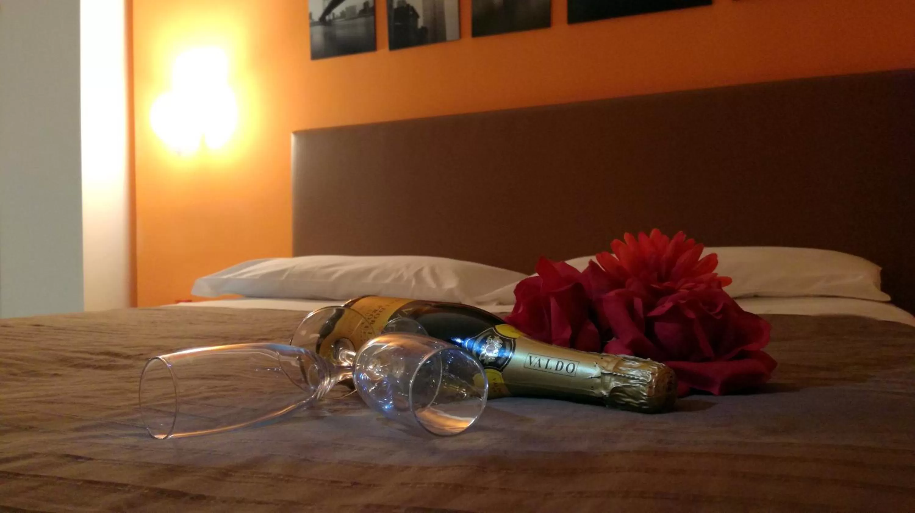 Decorative detail, Drinks in Bovio Modern Suite