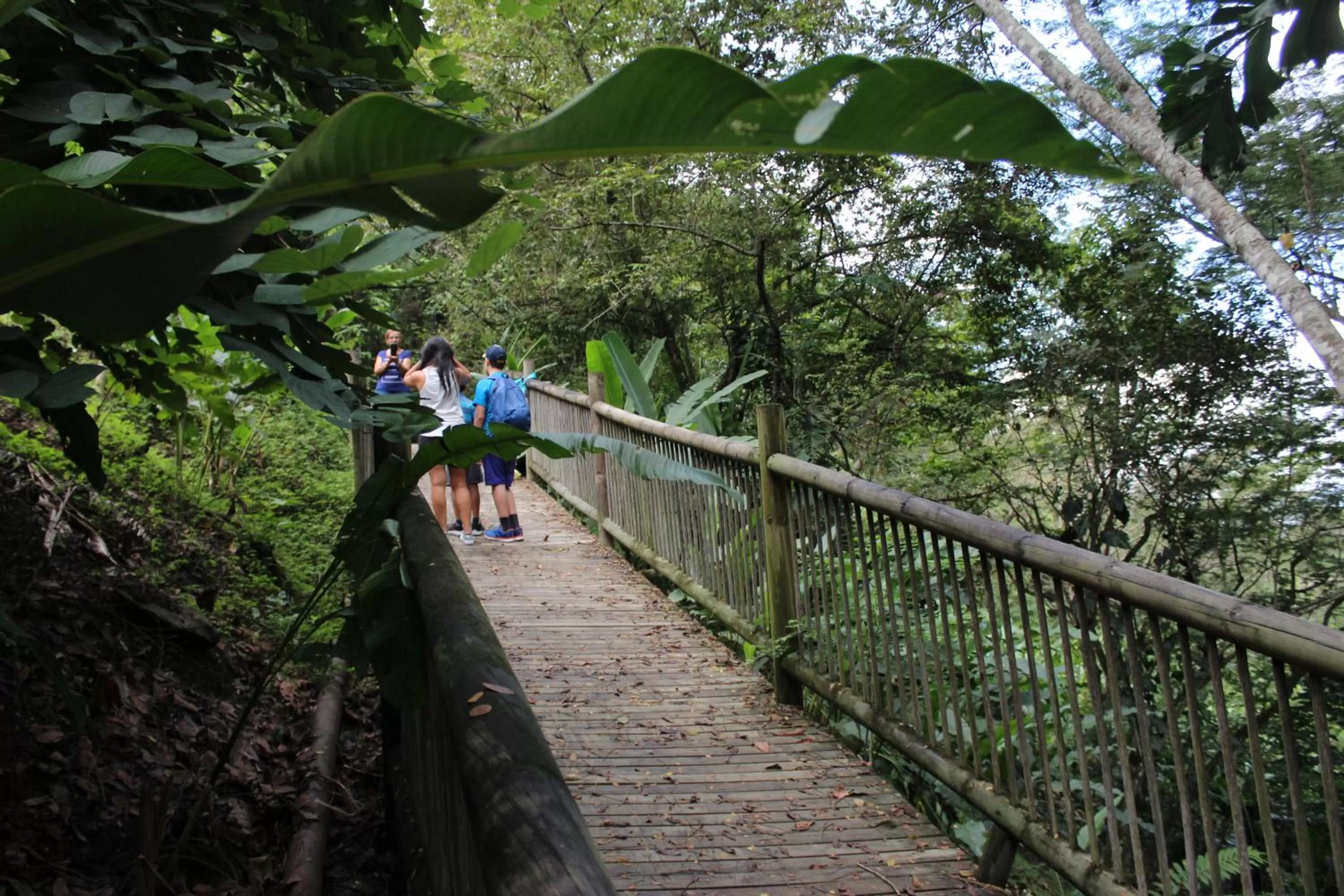Natural landscape in Rio Escondido