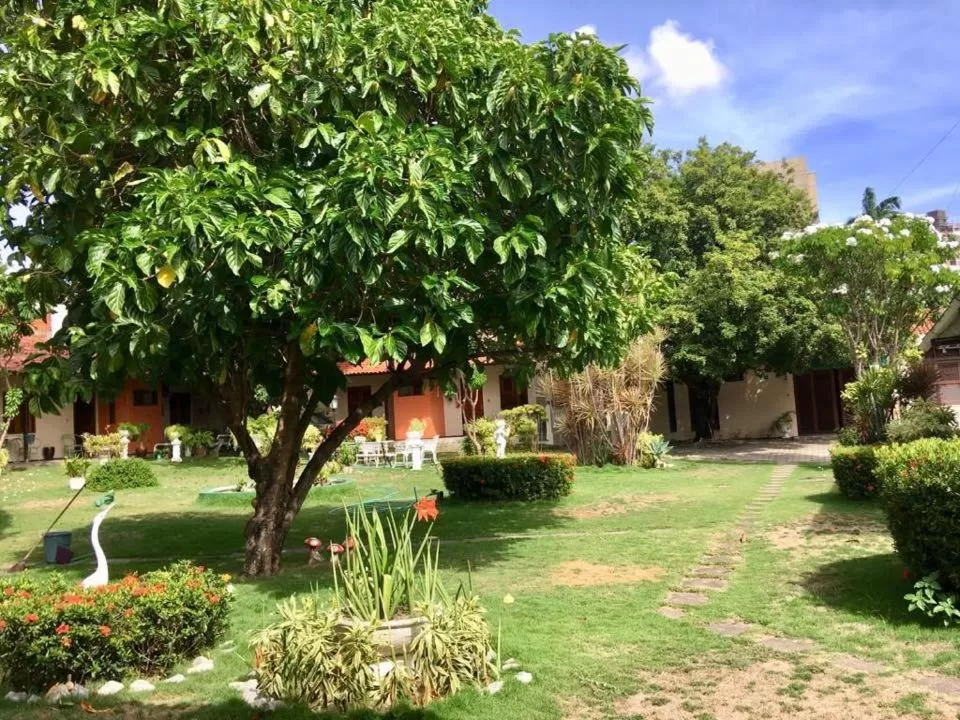 Garden in Hotel Jardim