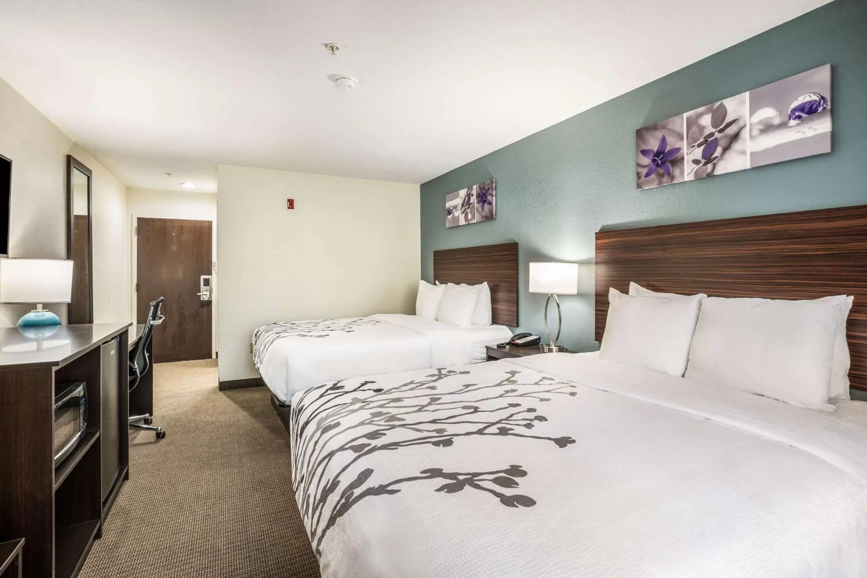 Photo of the whole room, Bed in Sleep Inn & Suites Tallahassee-Capitol