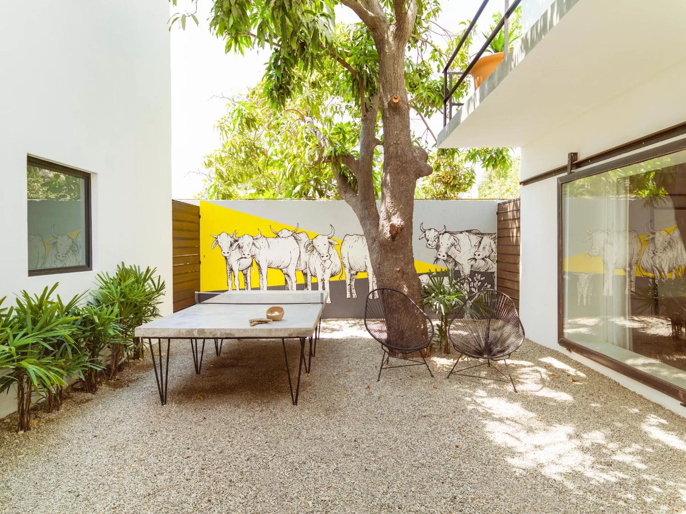 Activities in Drift San Jose del Cabo, a Member of Design Hotels