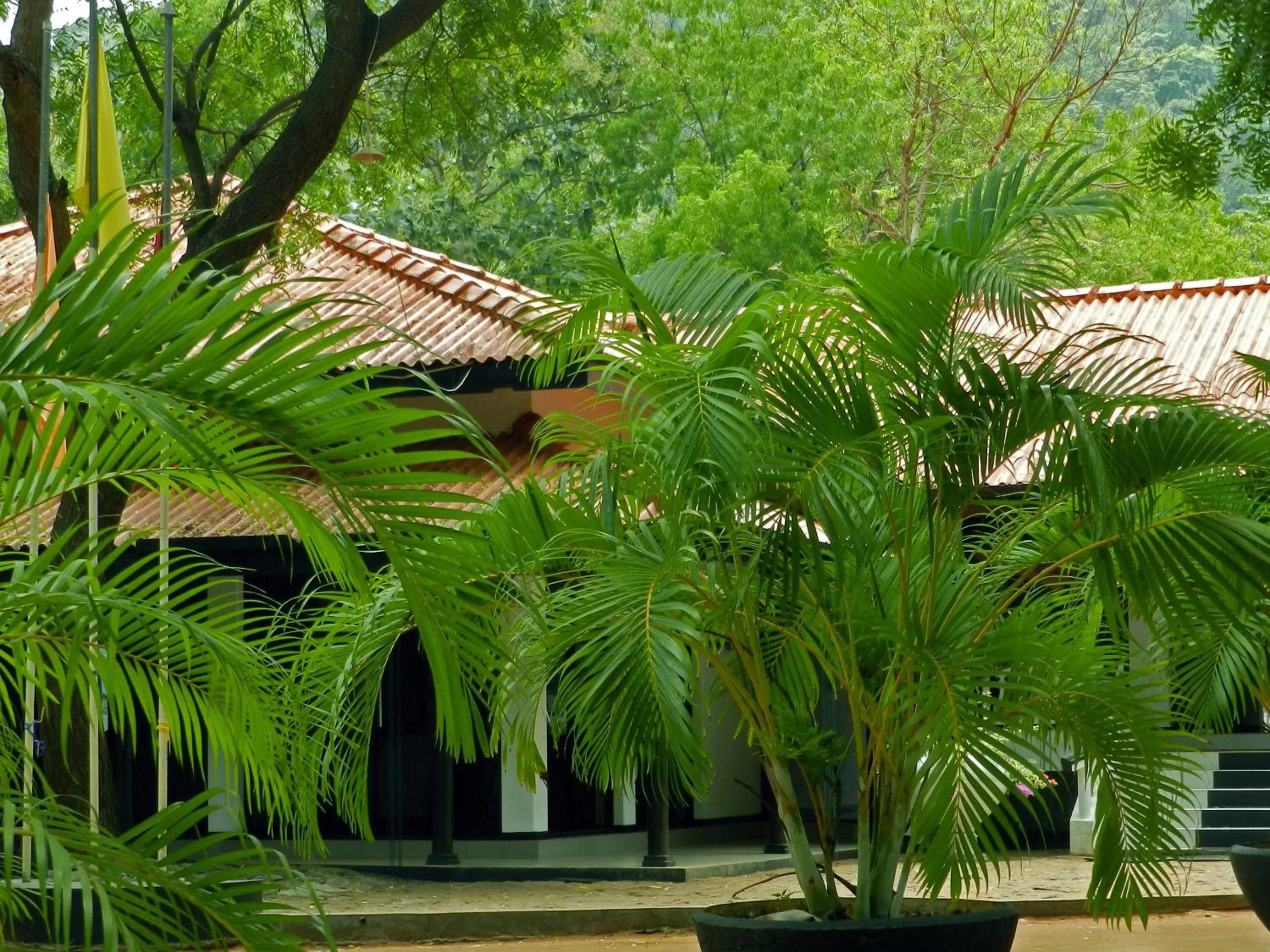 Property building in Jayasinghe Holiday Resort