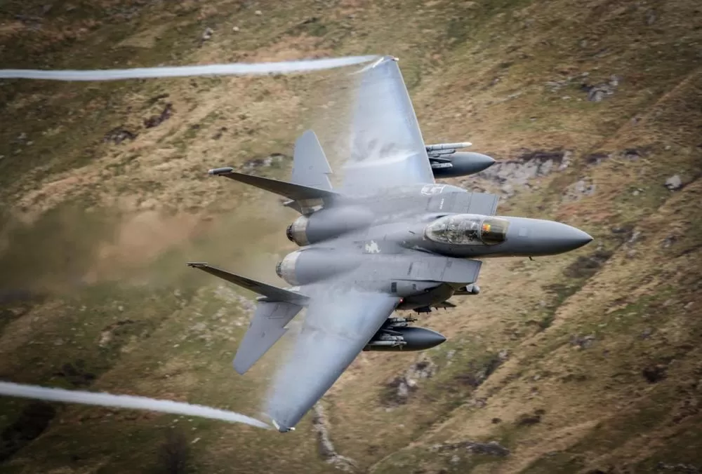 Other Animals in Tynycornel Hotel