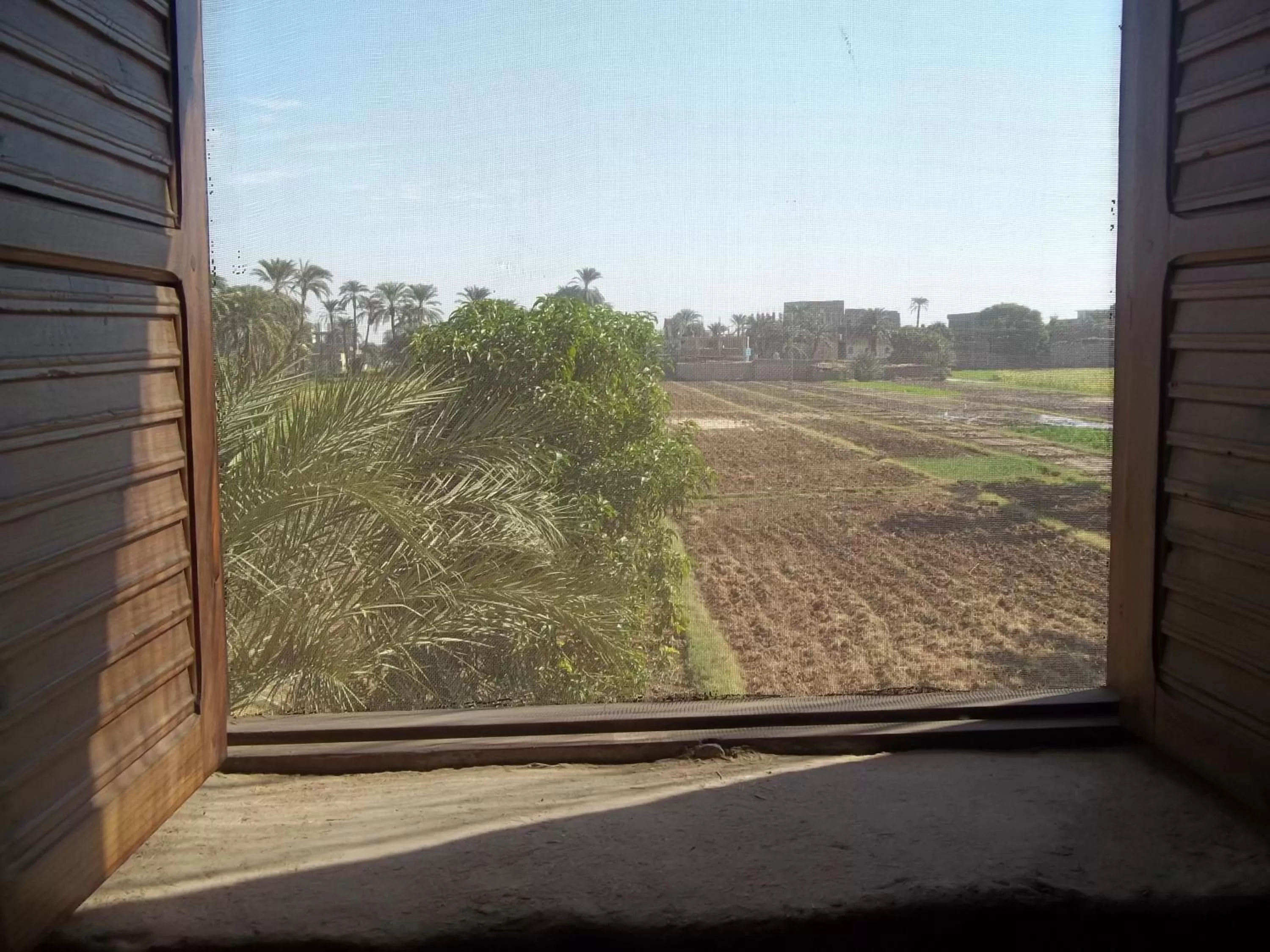 View (from property/room) in Nour El Balad