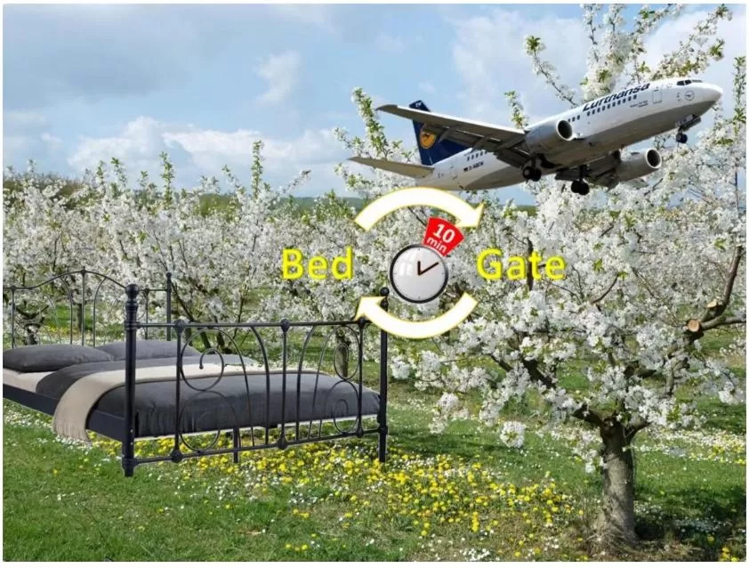 Darts in Tagungshotel Höchster Hof