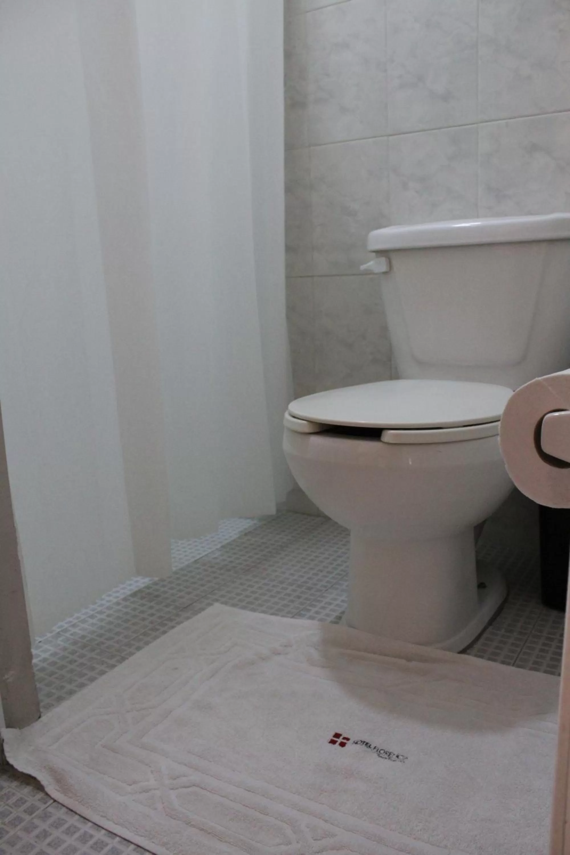 Bathroom in Hotel Florencia Poza Rica