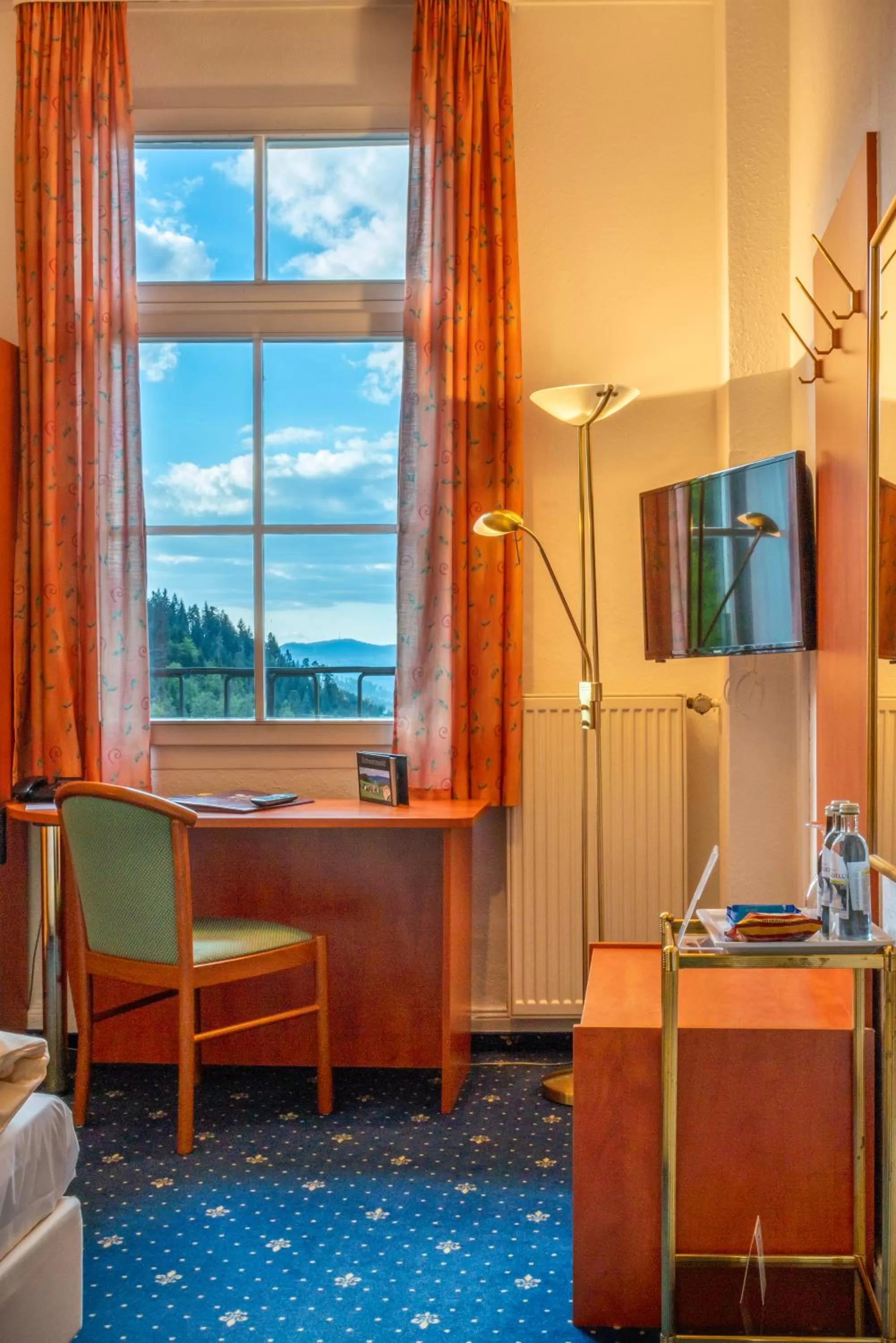 View (from property/room) in Hotel Schloss Hornberg