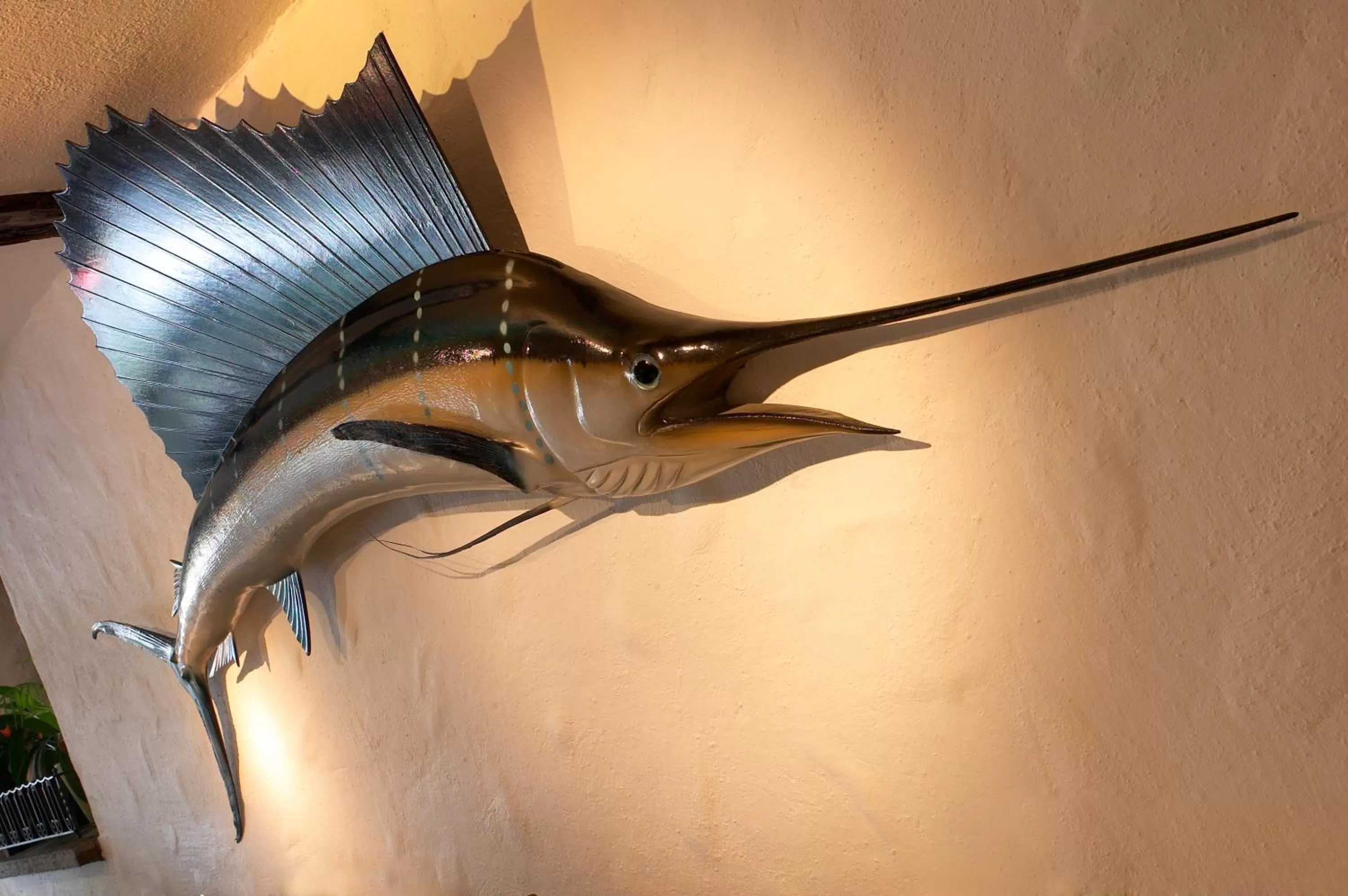 Restaurant/places to eat in Hotel & Restaurant Rössli