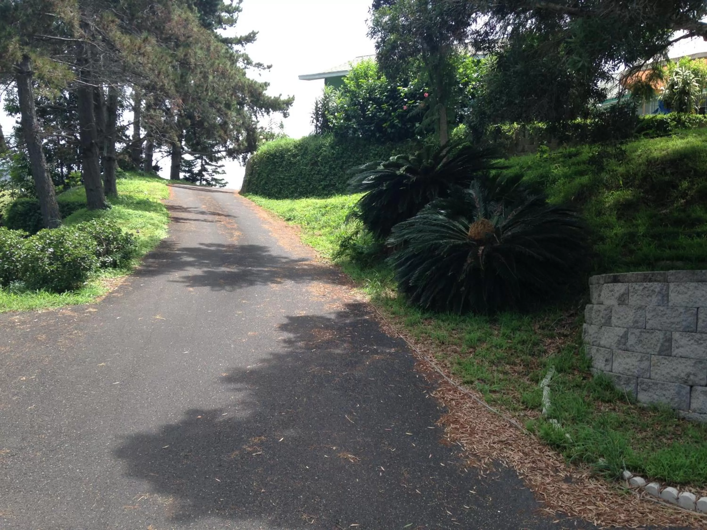 Street view in Ha'le Kiana