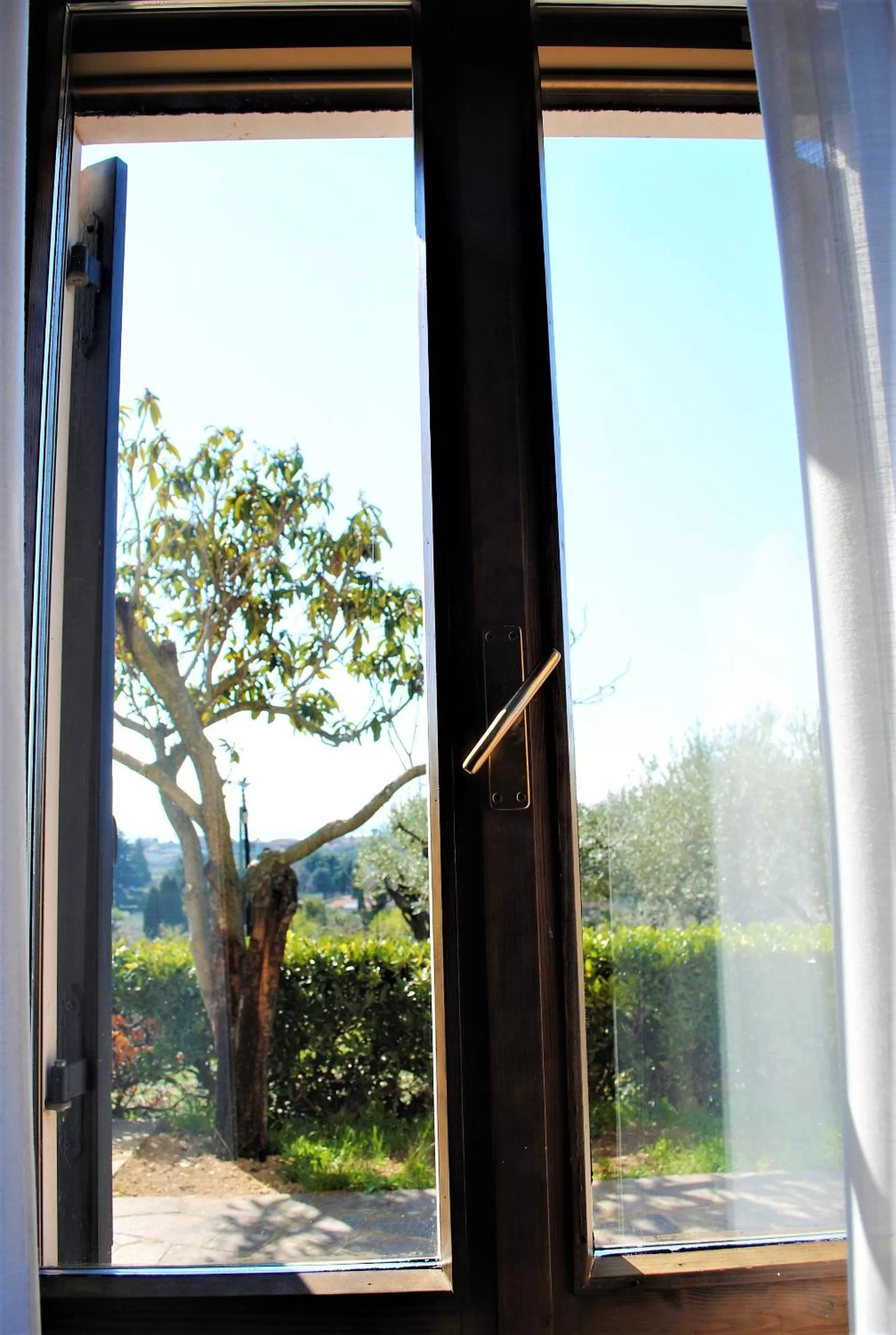 Garden view in AGRITURISMO MELOGRANO D'ORO