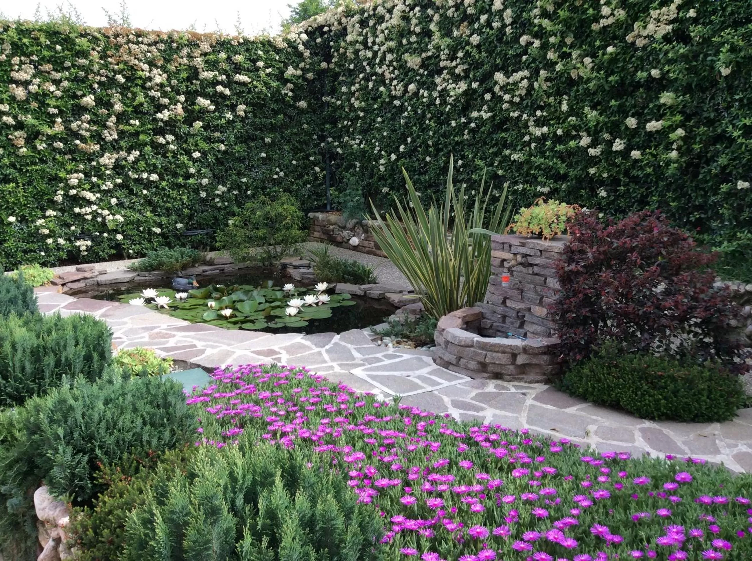 Spring in B&B Desenzano Paradise