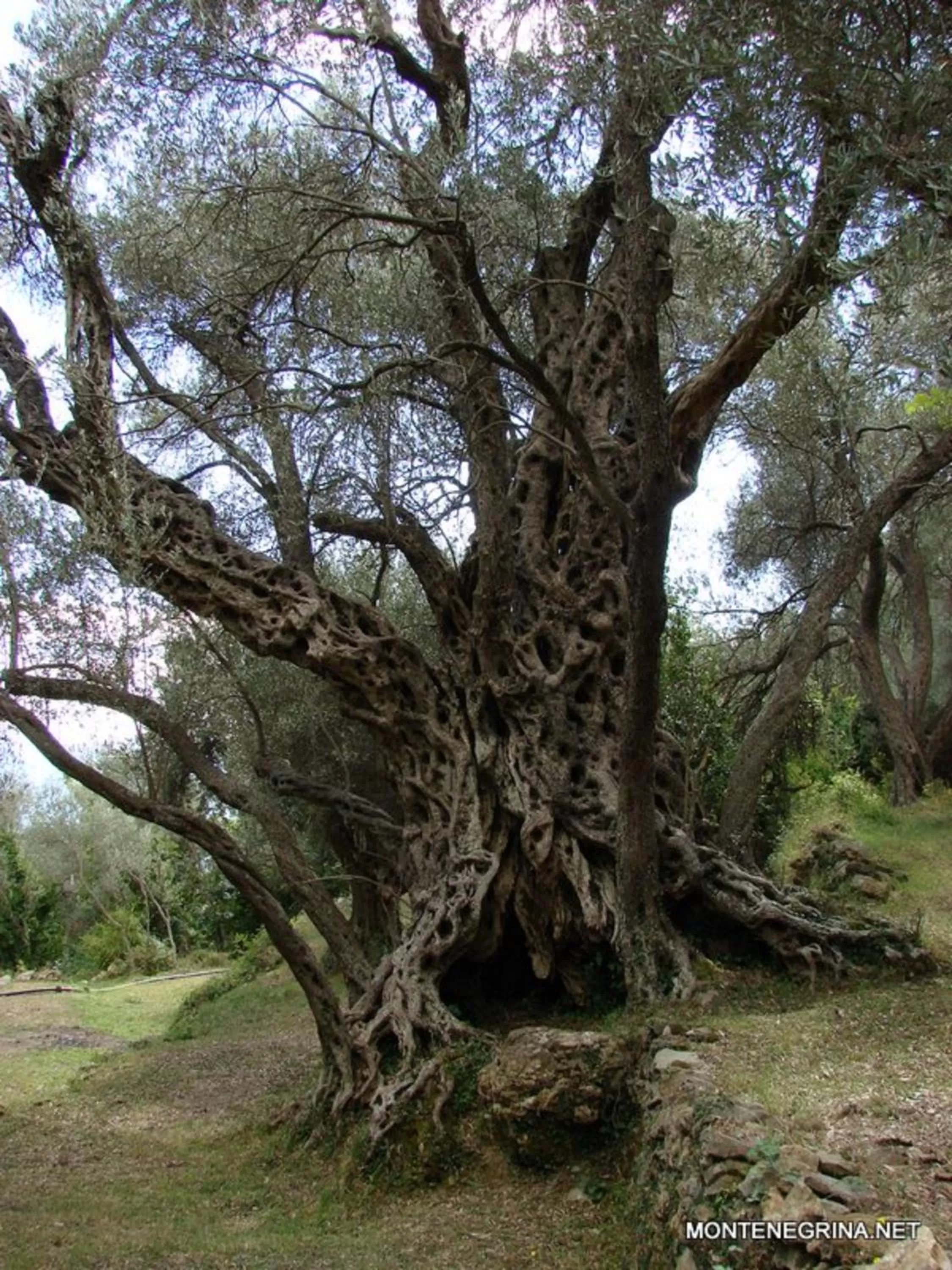 Nearby landmark in " Villa Kruna Lux "