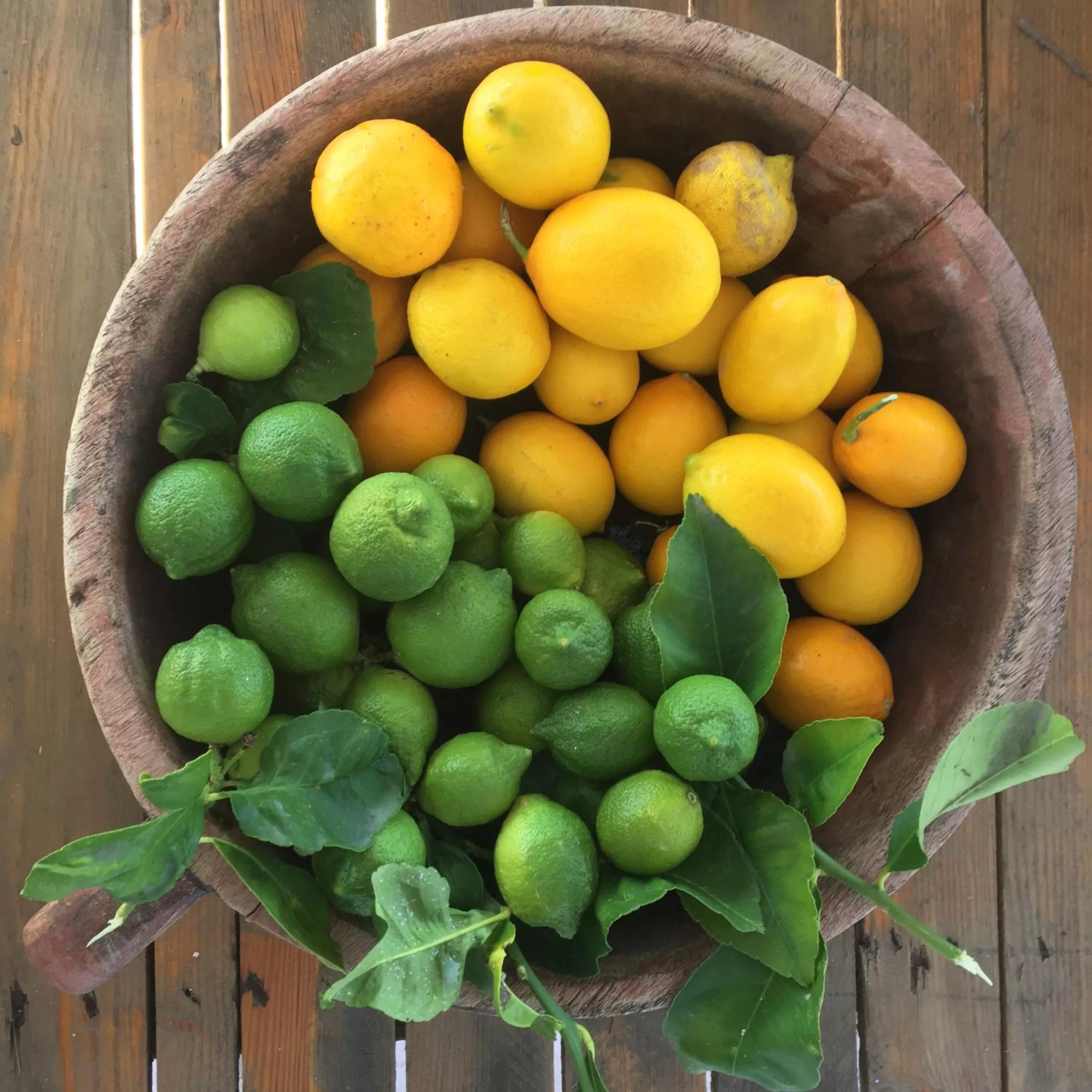 Food in Vila Rahmi & Veli Dervishaj