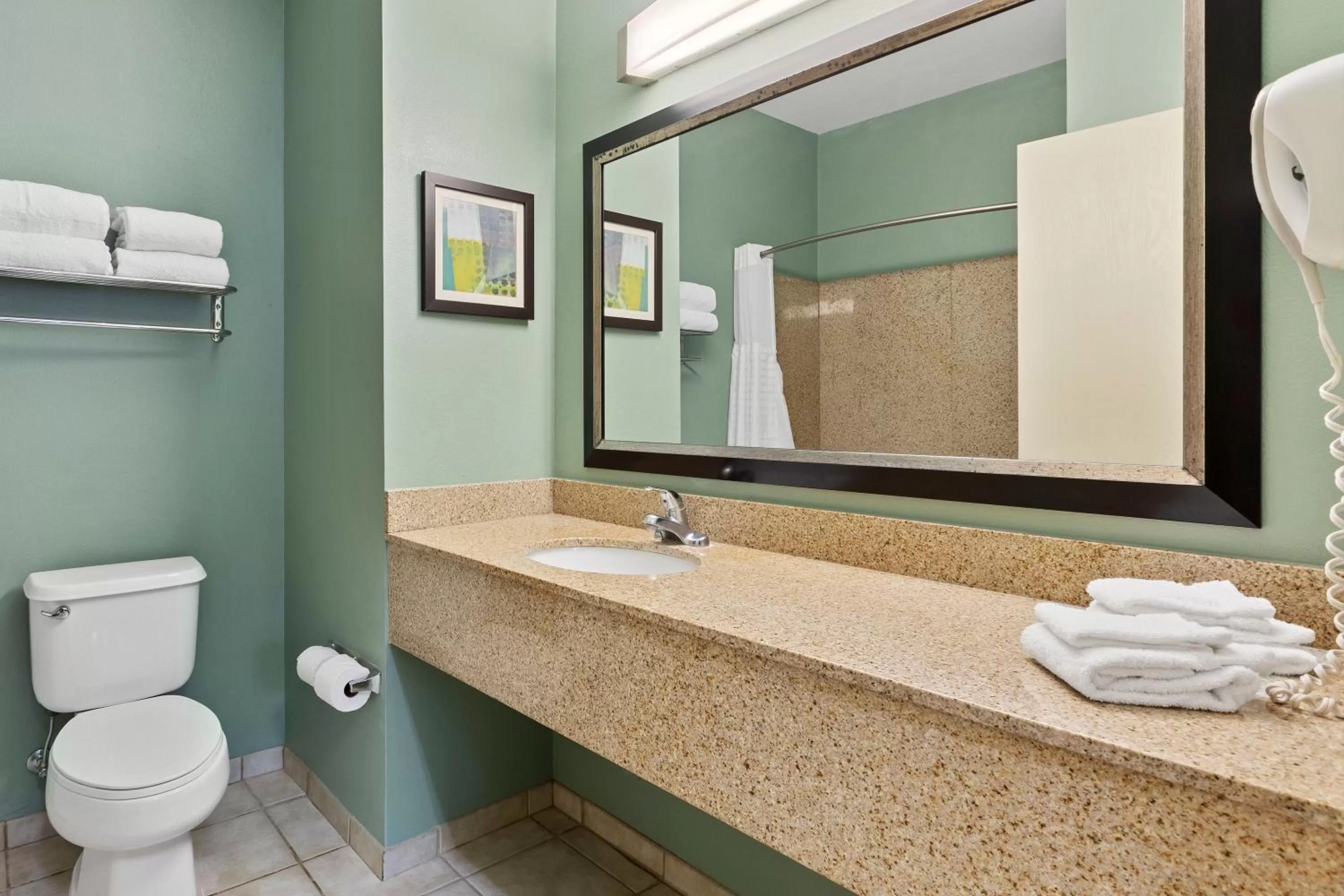 Bathroom in Extended Stay America Premier Suites - Lakeland - I-4