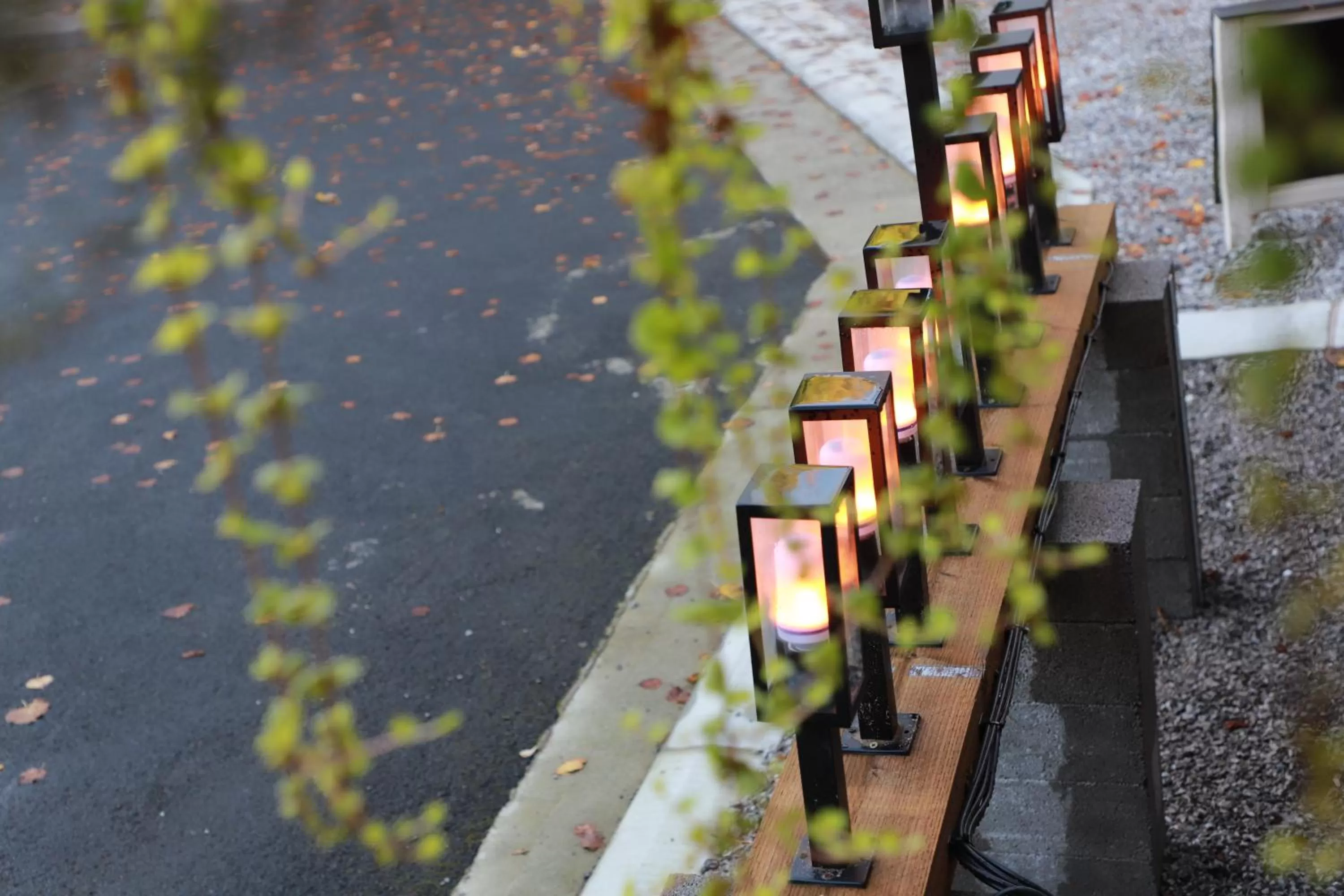 Property building in Hazeldean