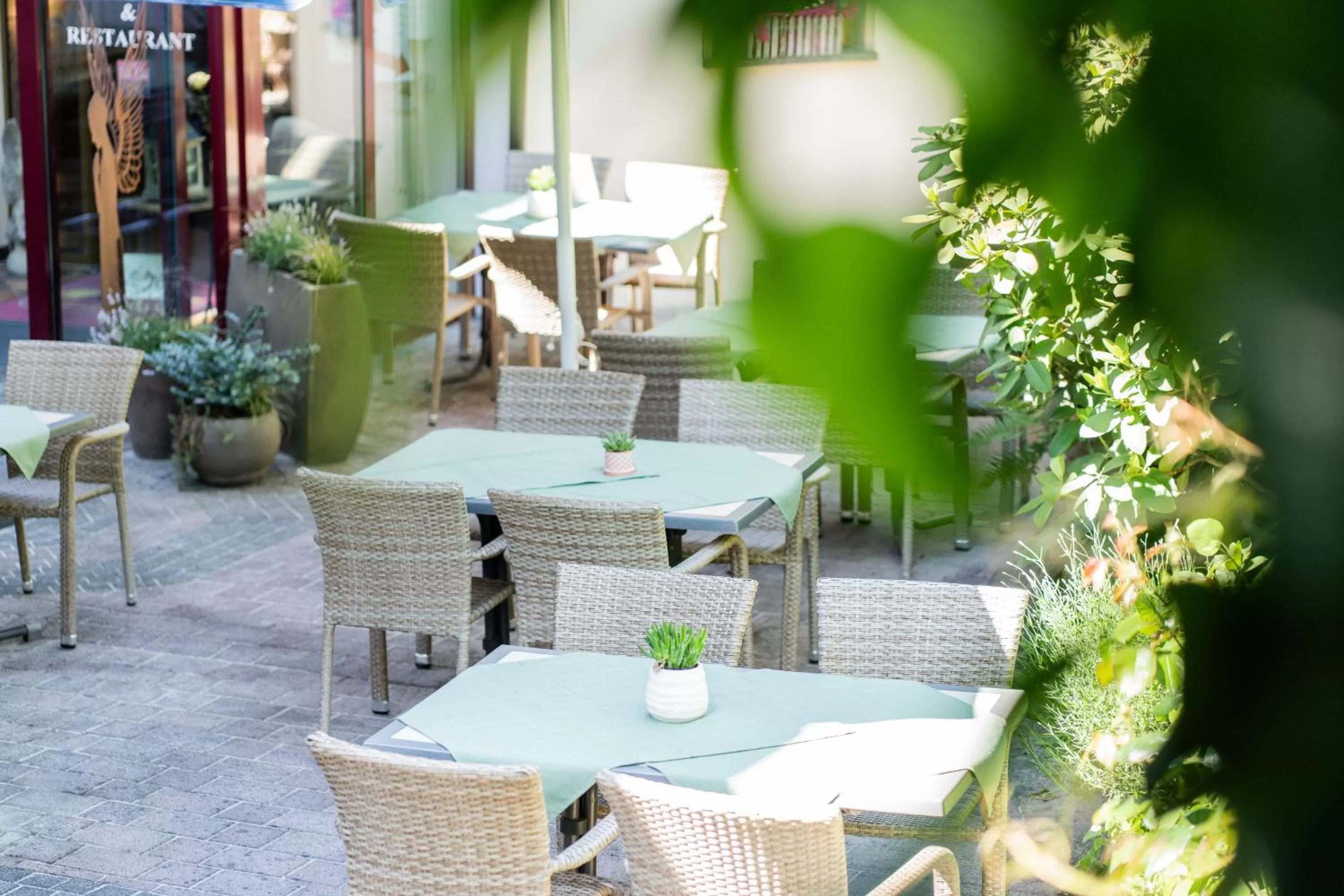 Garden in Hotel Christel