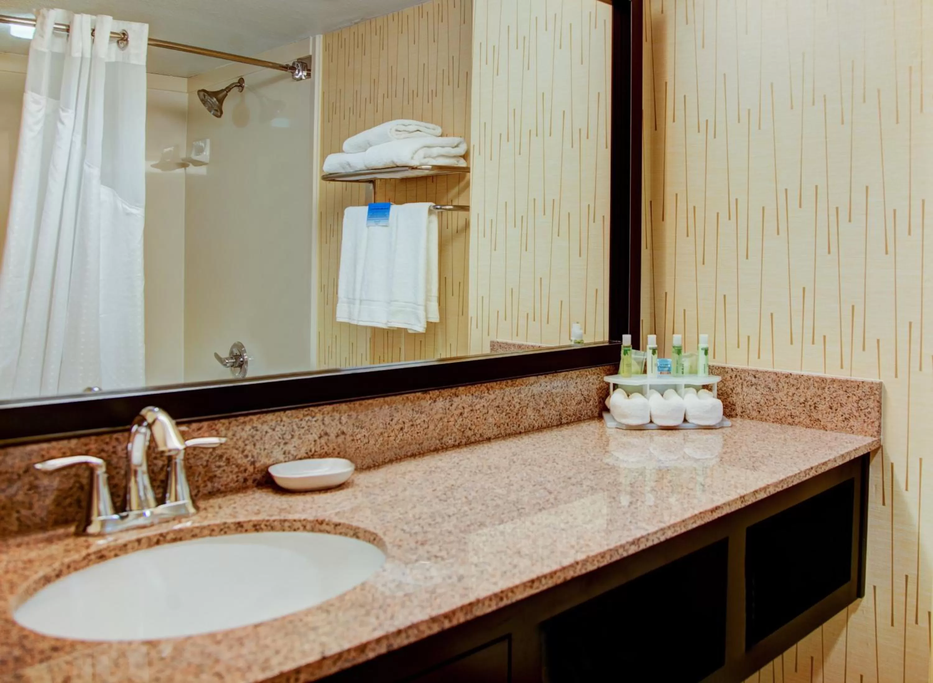 Bathroom in Holiday Inn Express Tyler South by IHG