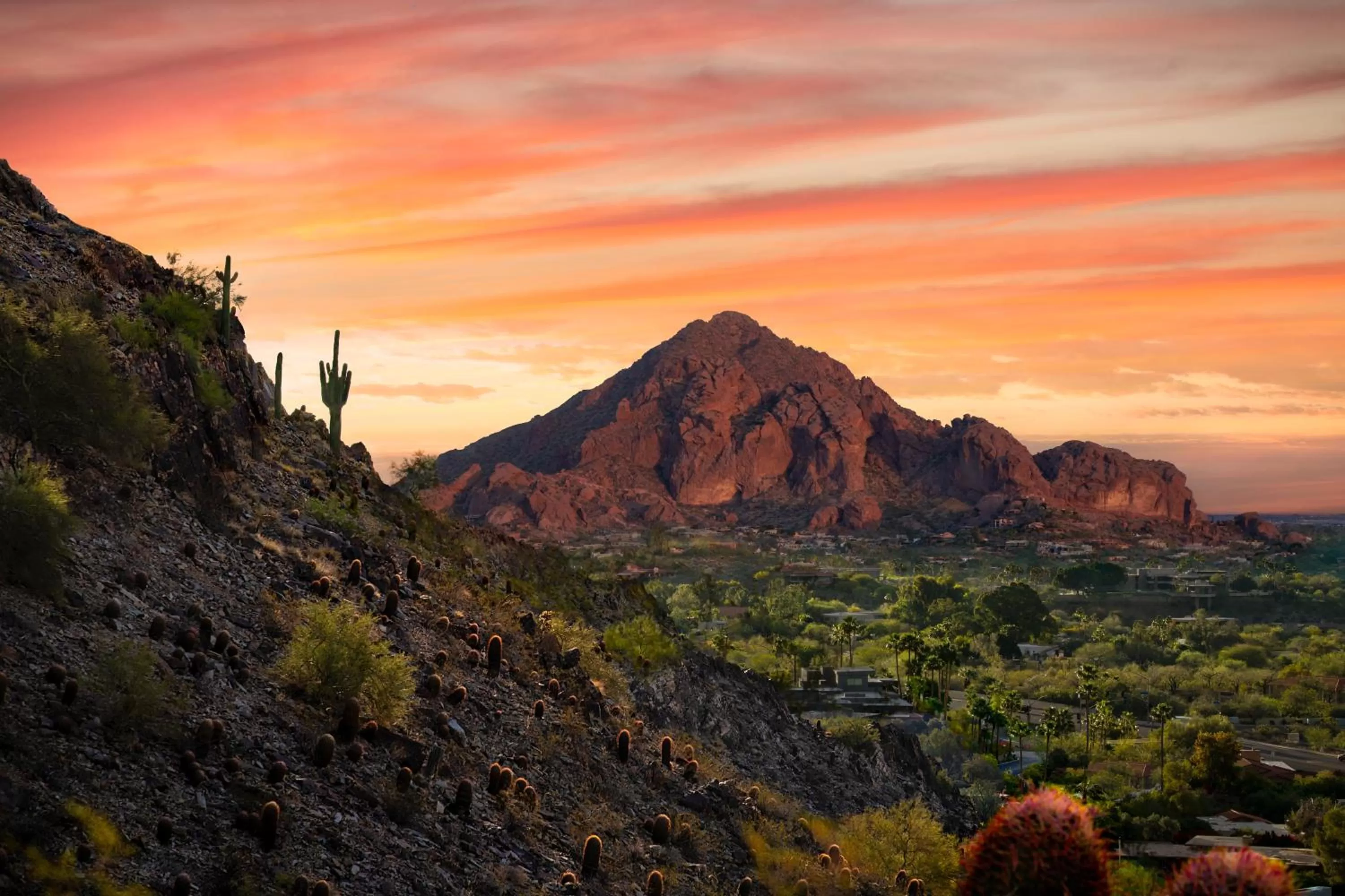 Natural landscape in Hyatt Place Scottsdale/Old Town