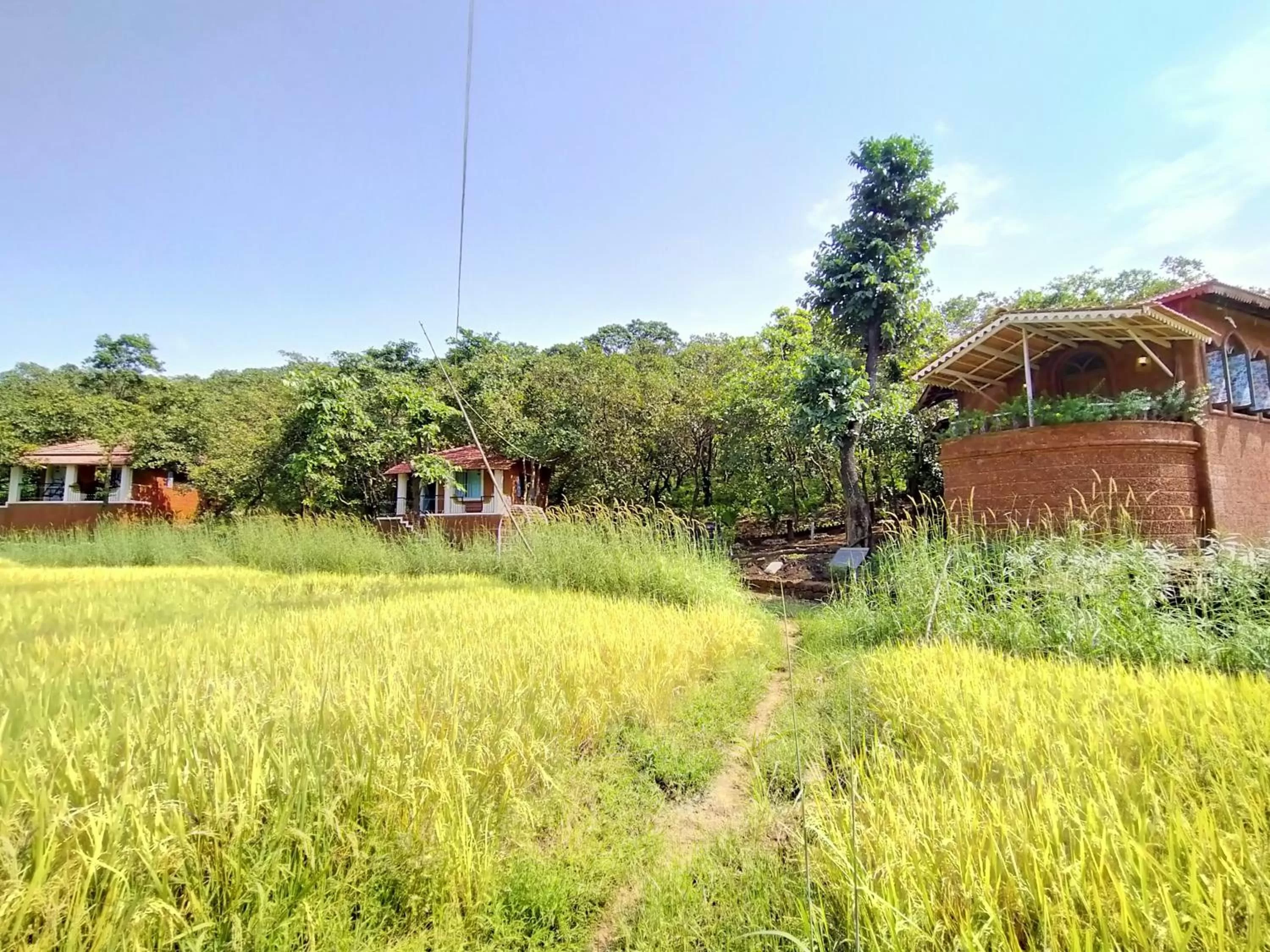 Natural landscape in Porsu