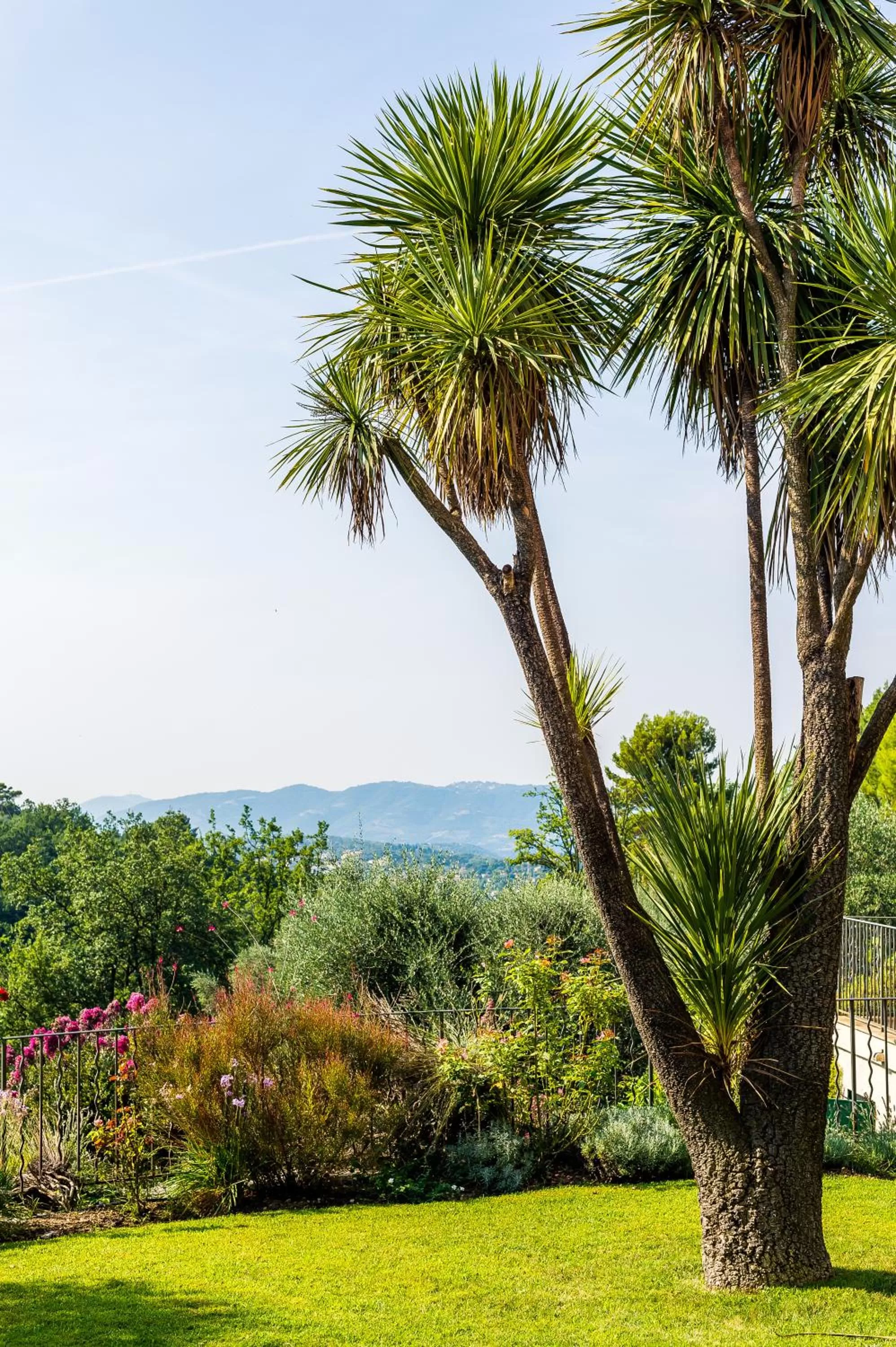 Garden in Mas Du Roc Bed & Breakfast