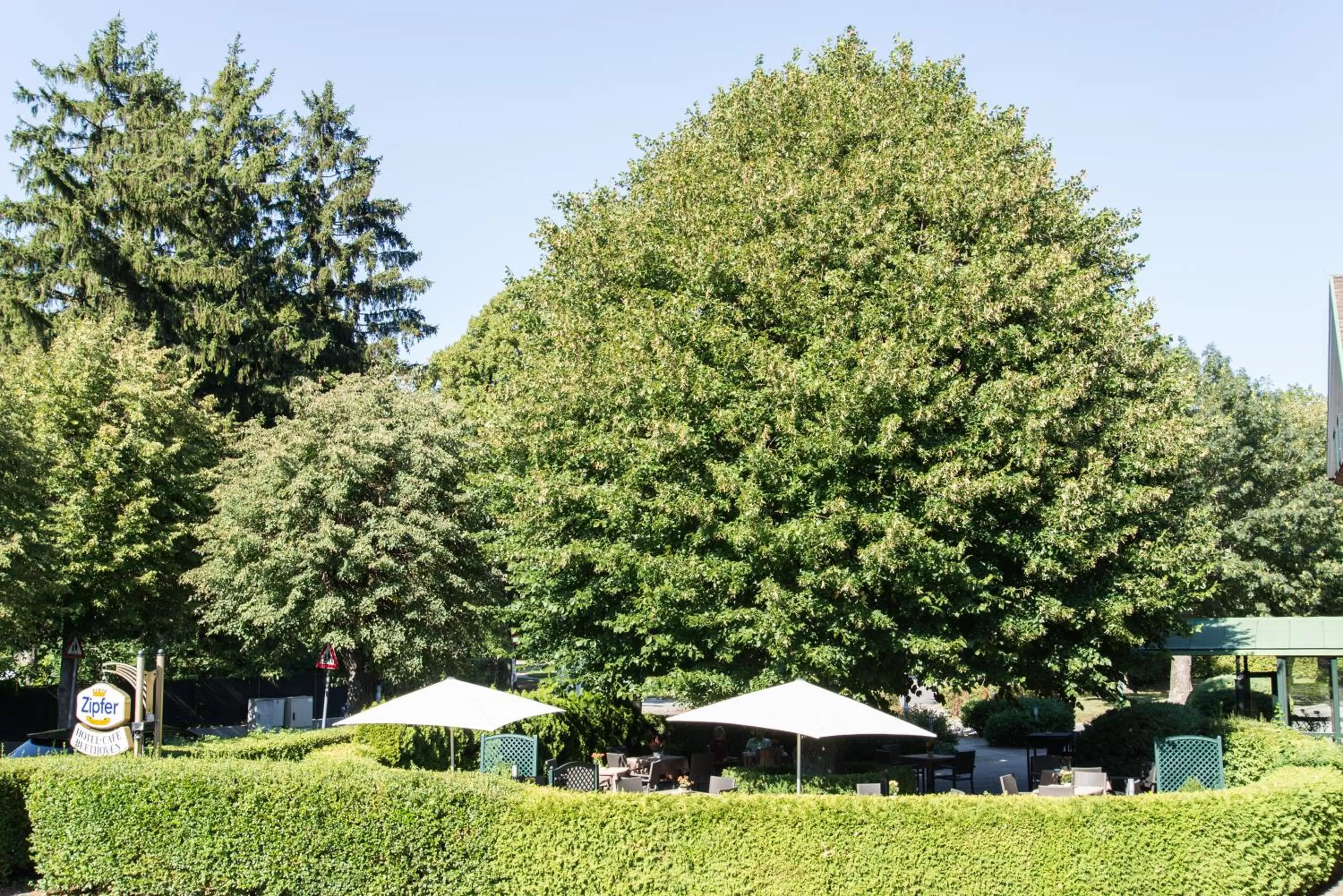 Natural landscape in Hotel Beethoven