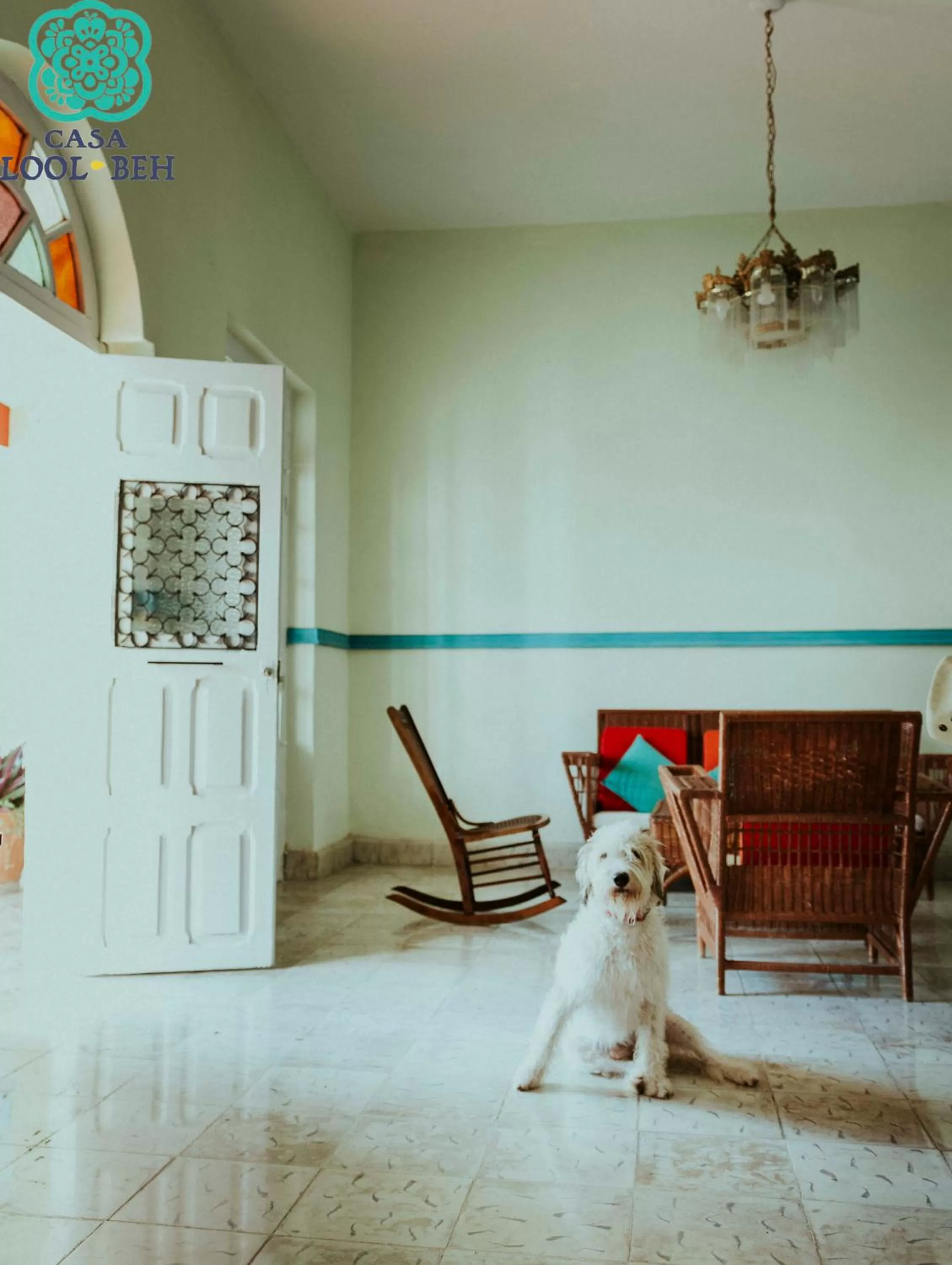 Pets in Casa Lool Beh