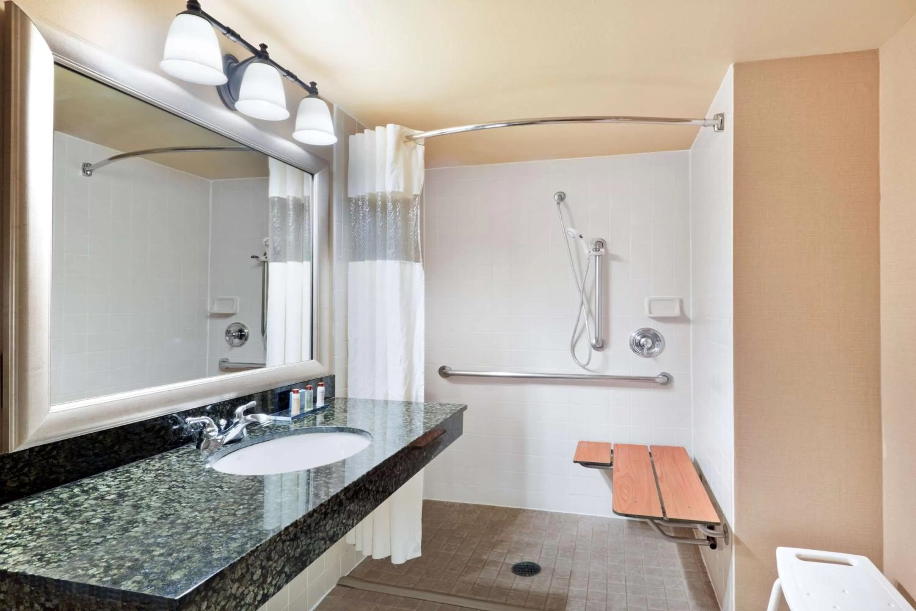 King Room - Disability Access/Non-Smoking in Wingate by Wyndham Denver Tech Center