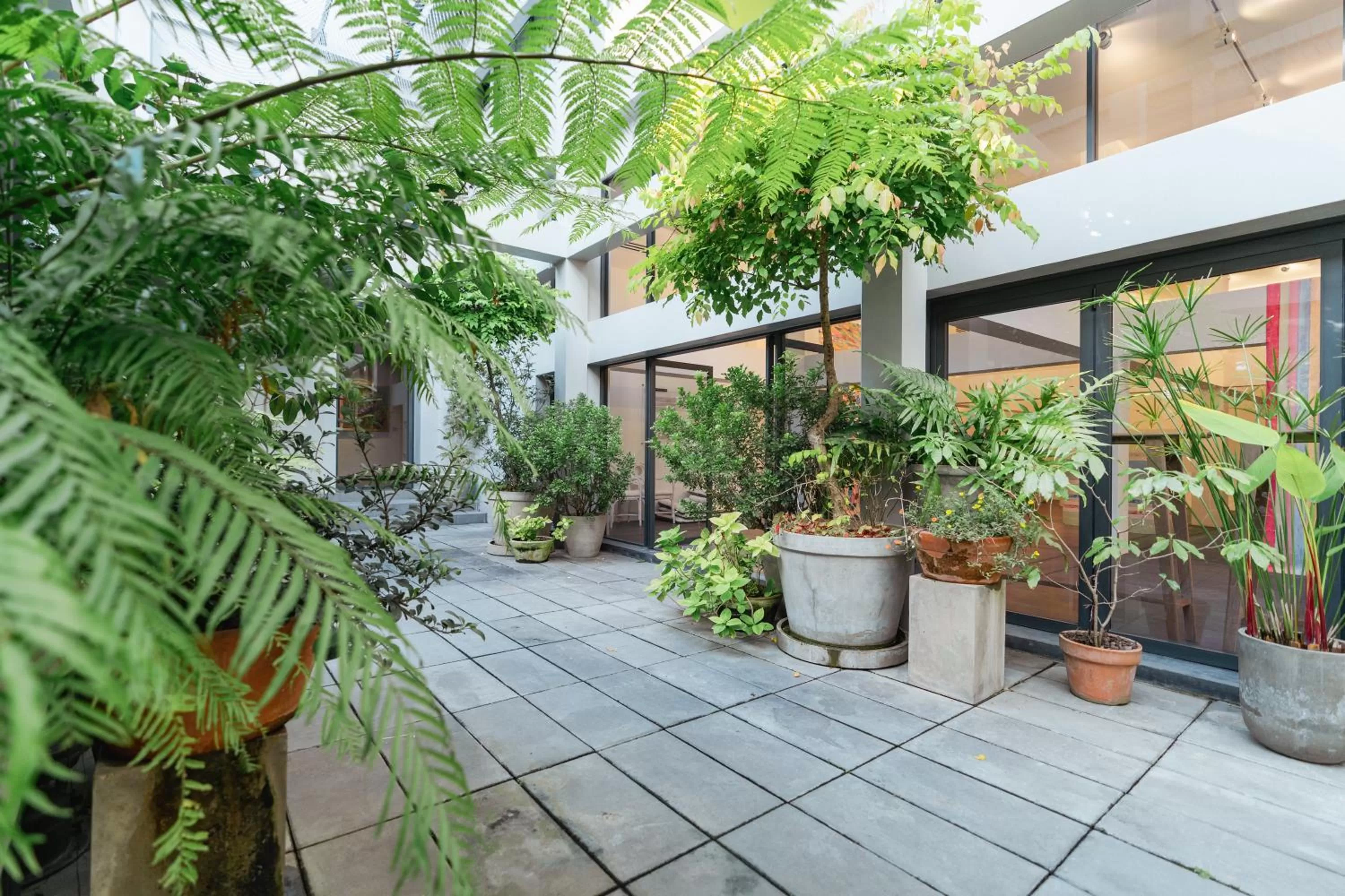 Garden in QUU HOTEL Chiang Mai