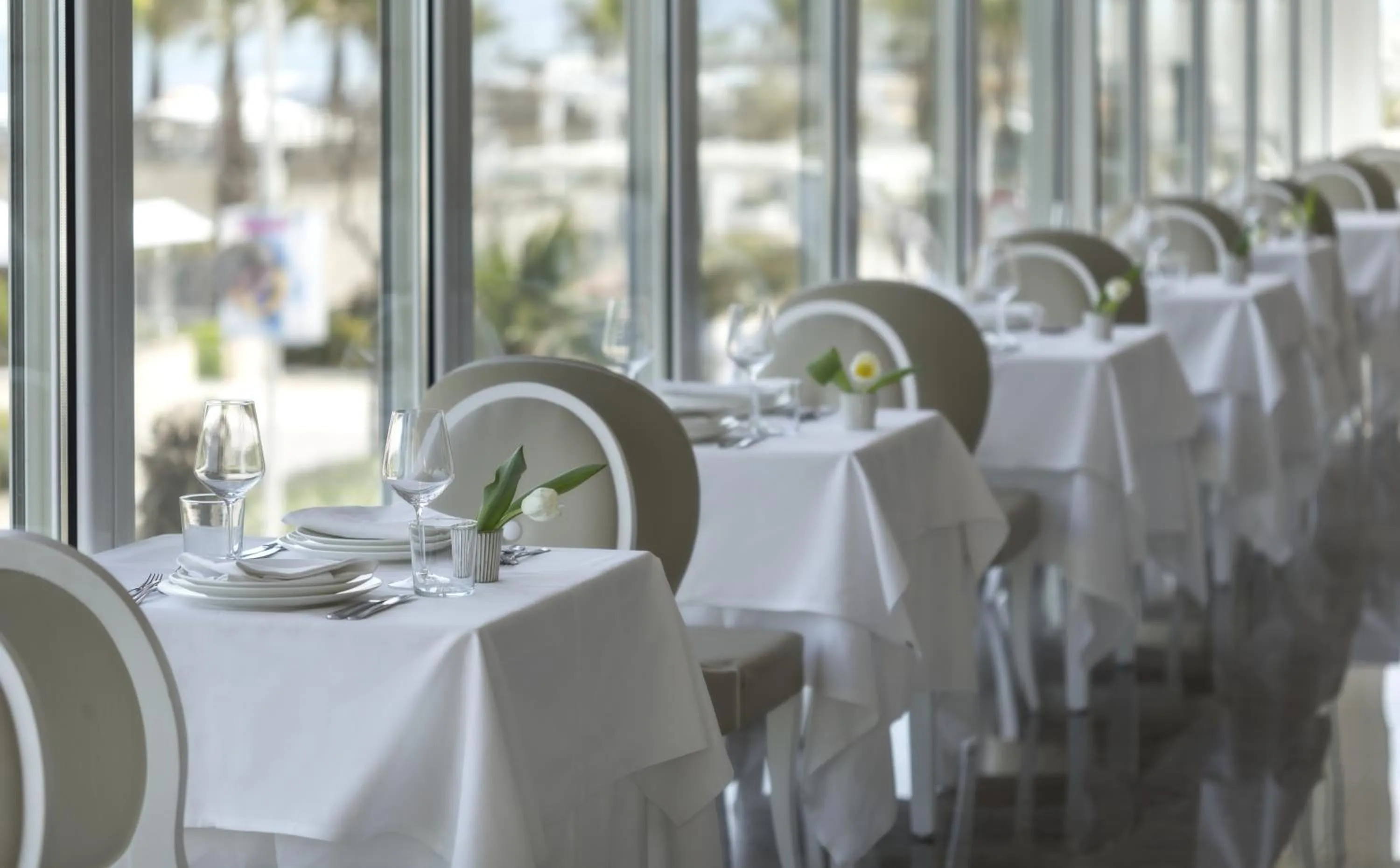 Restaurant/places to eat in Hotel Tiffany's