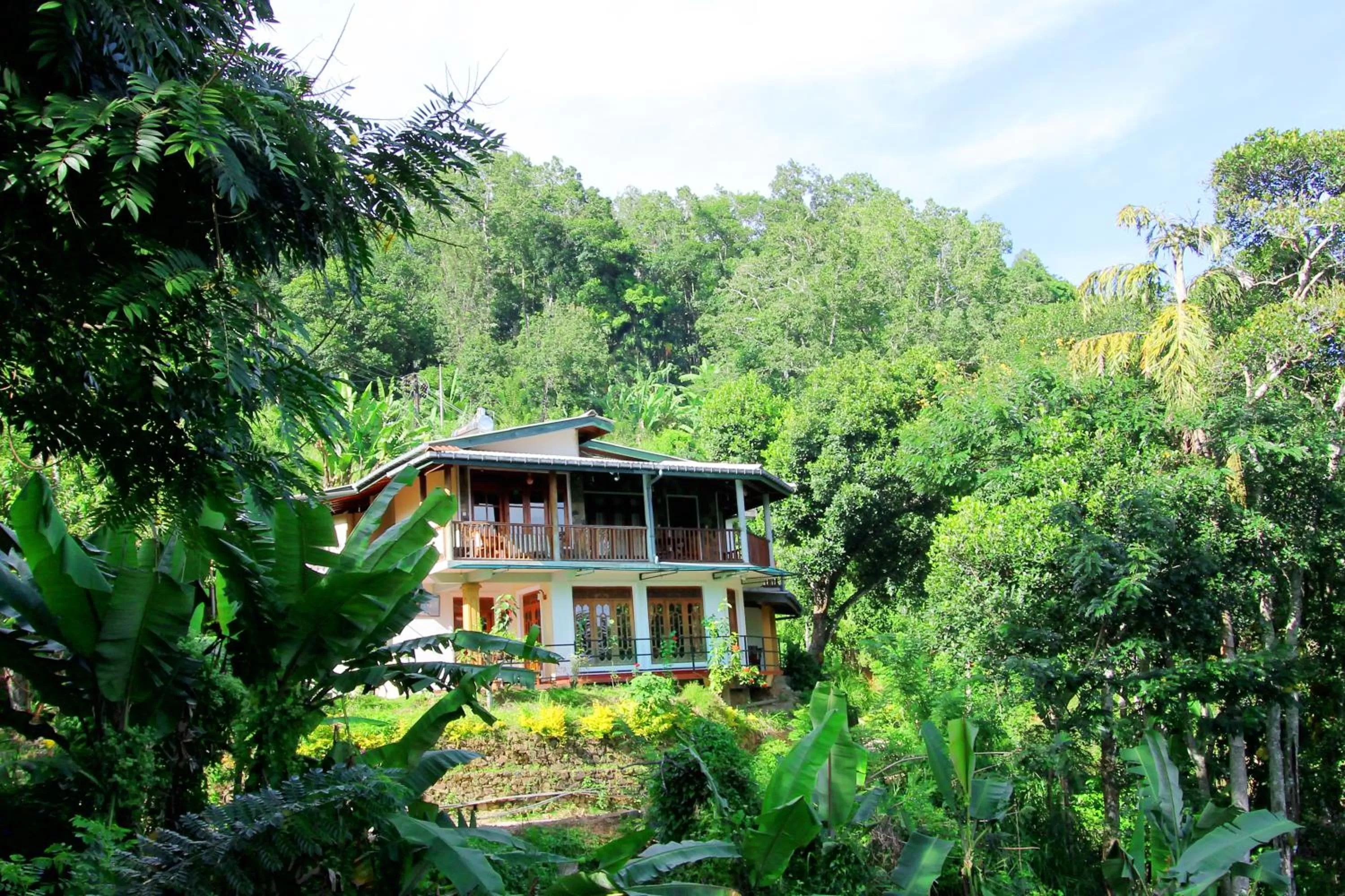 Property building in Blue Ribbon Homestay