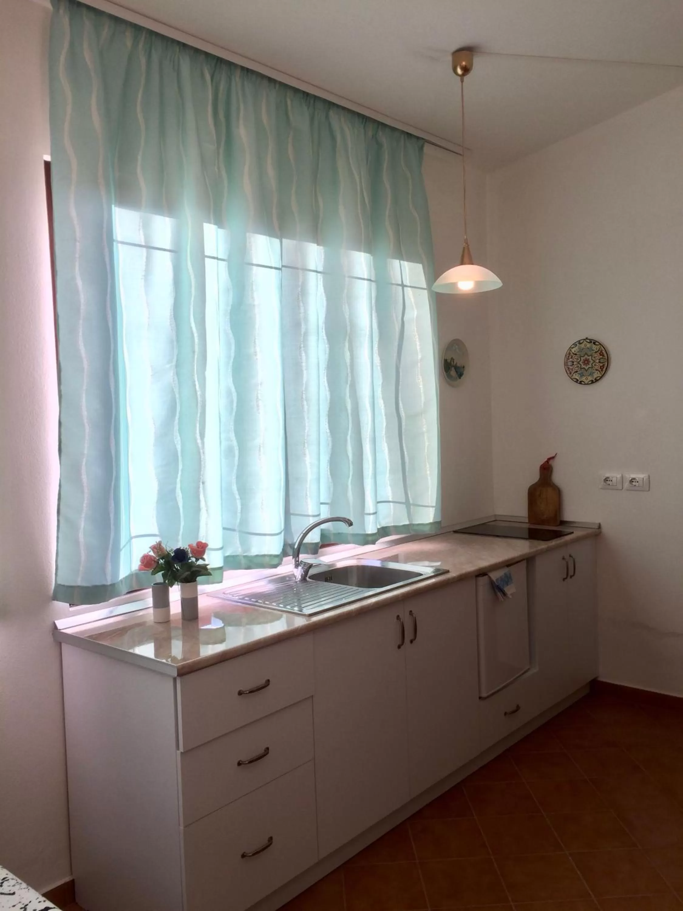 Kitchen or kitchenette in Guesthouse Villa Rosa Berat